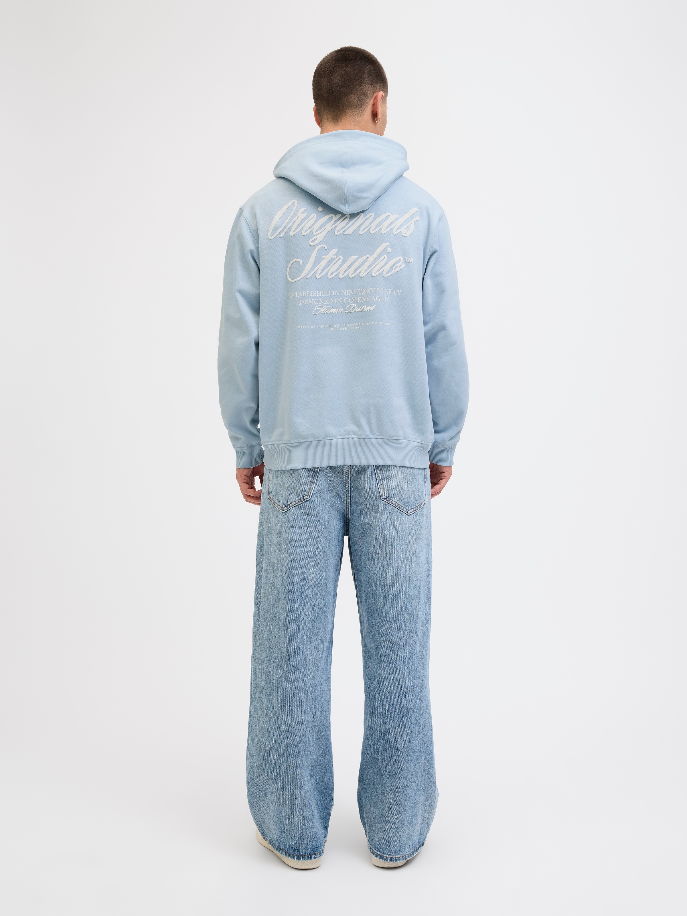 Jack & Jones Kapuzensweatshirt »JORNORREBRO TYPO BACK SWEAT HOOD SN«, mit Print
