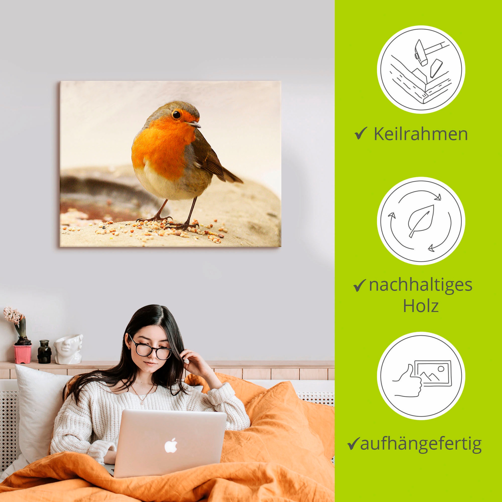 Artland Wandbild »Rotkehlchen«, Vögel, (1 St.), als Leinwandbild, Wandaufkleber in verschied. Größen