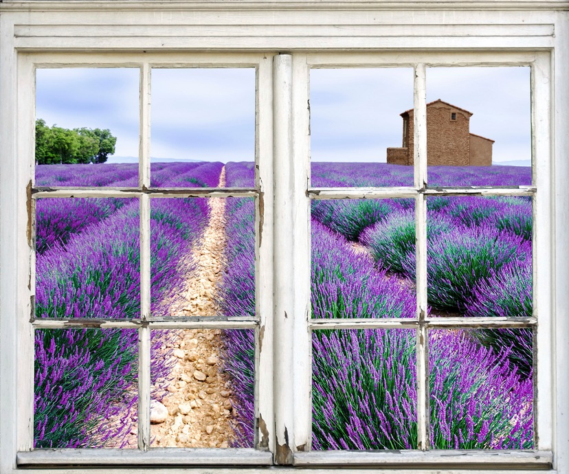 Lavendel (1 Wall-Art Blumen | Mädchen«, St.) Wandtattoo BAUR bestellen »Lila