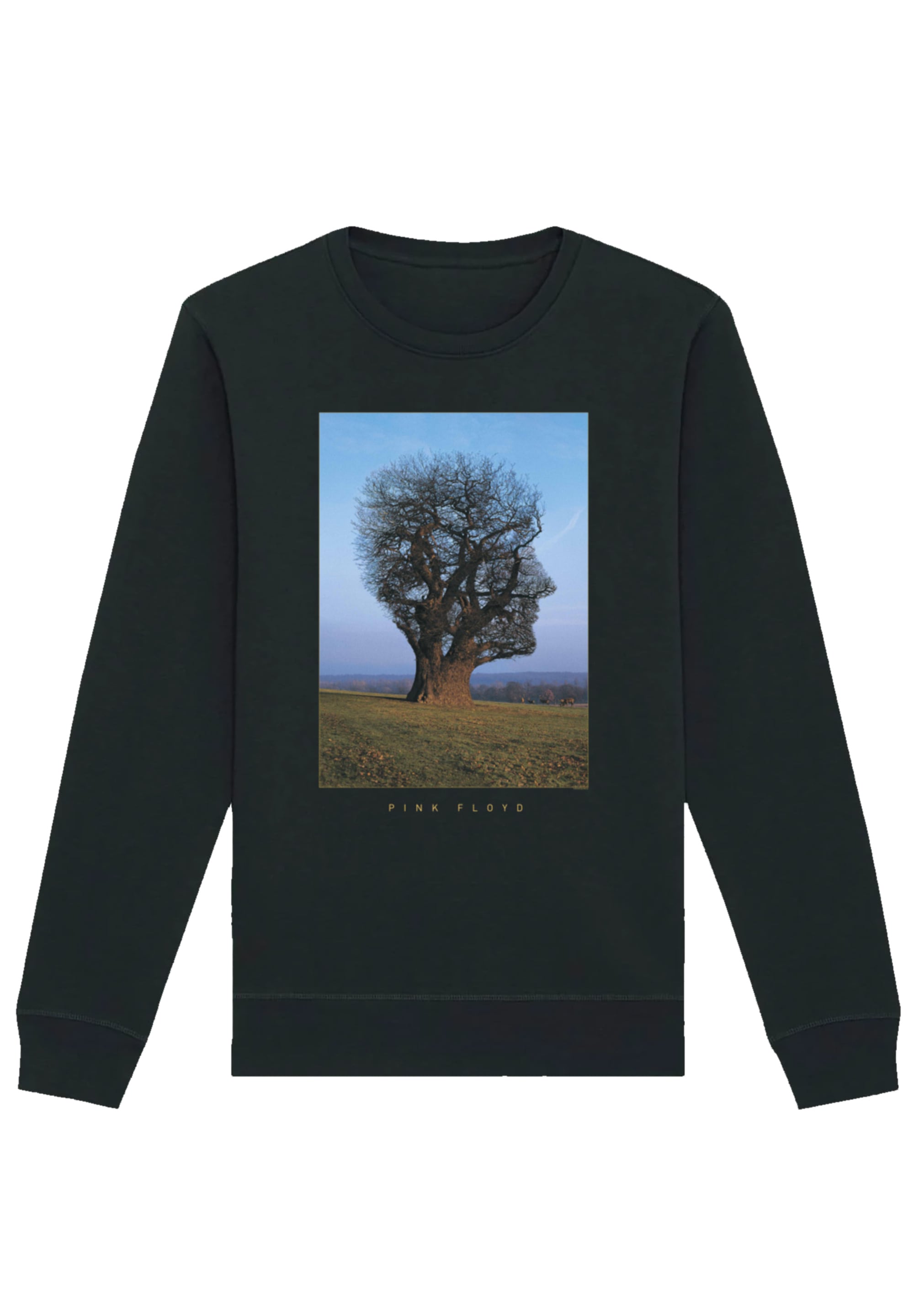 F4NT4STIC Sweatshirt "Pink Floyd Tree Head", Premium Qualität günstig online kaufen