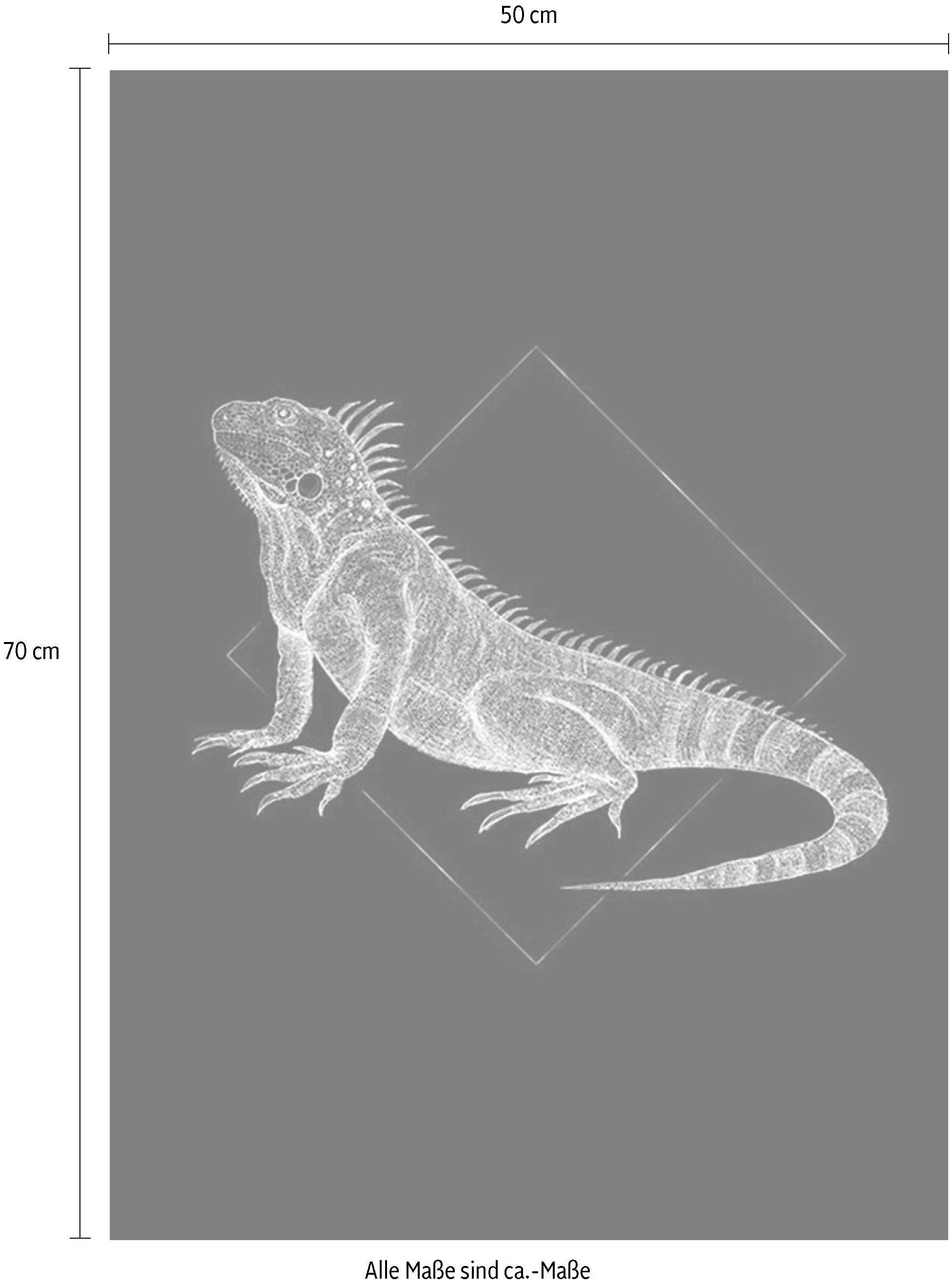 Komar Bild "Iguana Black", Tiere, (1 St.), Wandbild zur Dekoration - ohne R günstig online kaufen