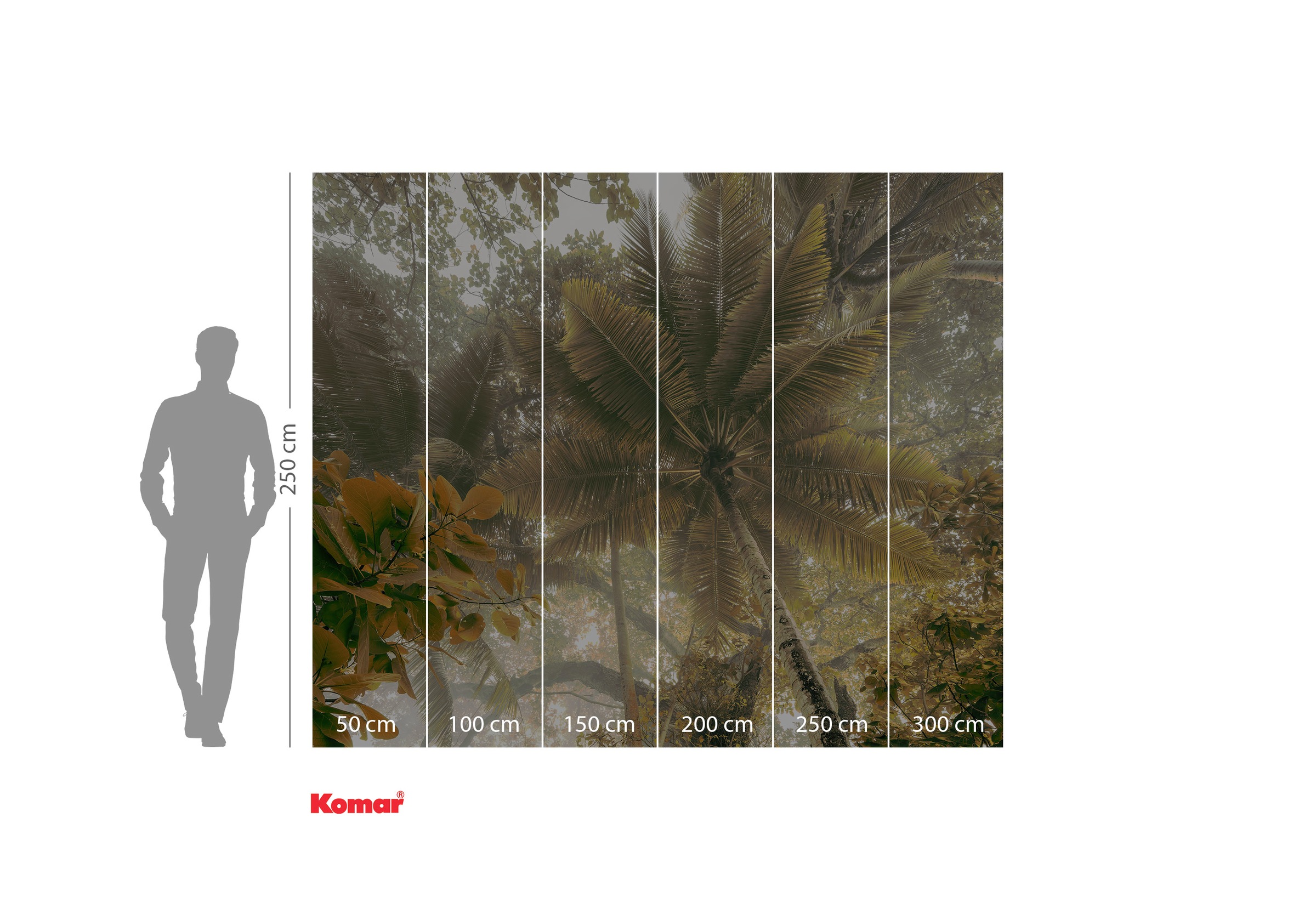 Komar Vliestapete »Palms Panorama«, 300x250 cm (Breite x Höhe), Vliestapete, 100 cm Bahnbreite