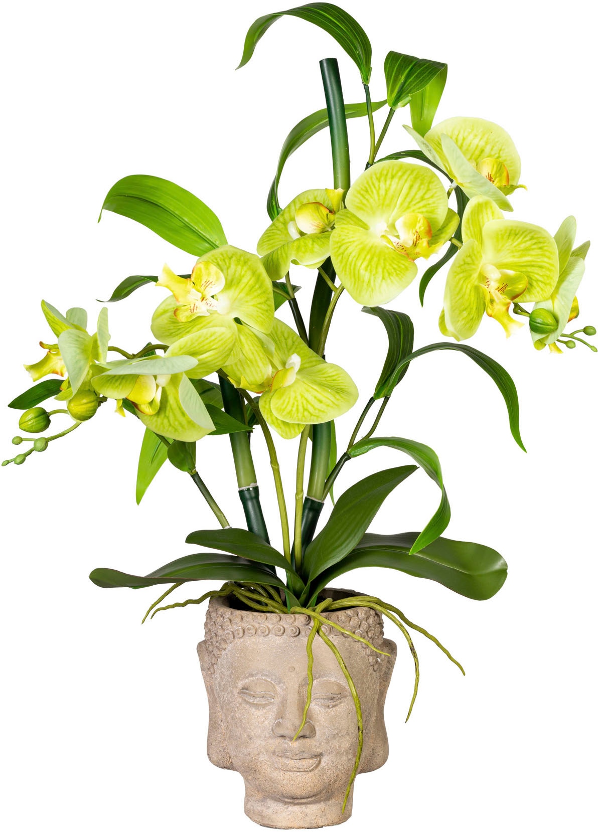 Creativ green Kunstorchidee "Orchideen-Bambus-Arrangement im Buddhakopf"