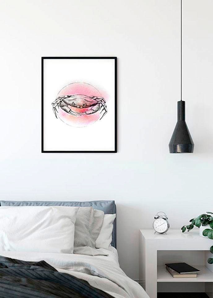 Komar Bild »Crab Watercolor«, Tiere, (1 St.), Wandbild zur Dekoration - ohne Rahmen