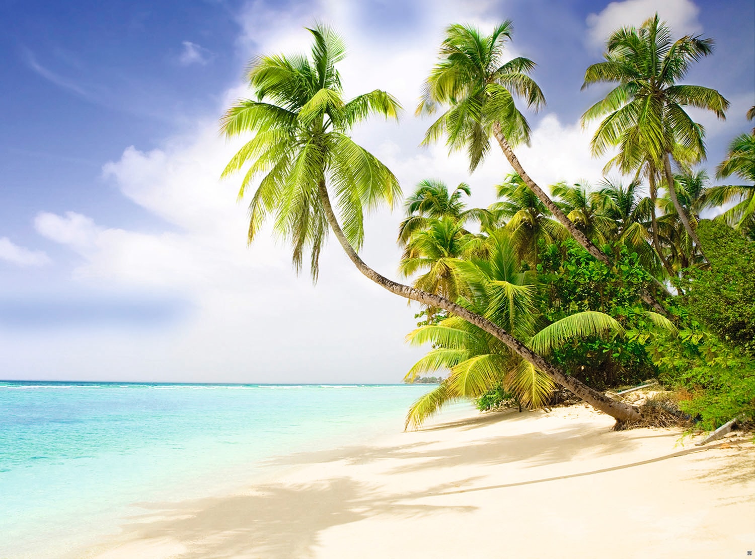 Papermoon Fototapete "Beach in the South Seas" glatt