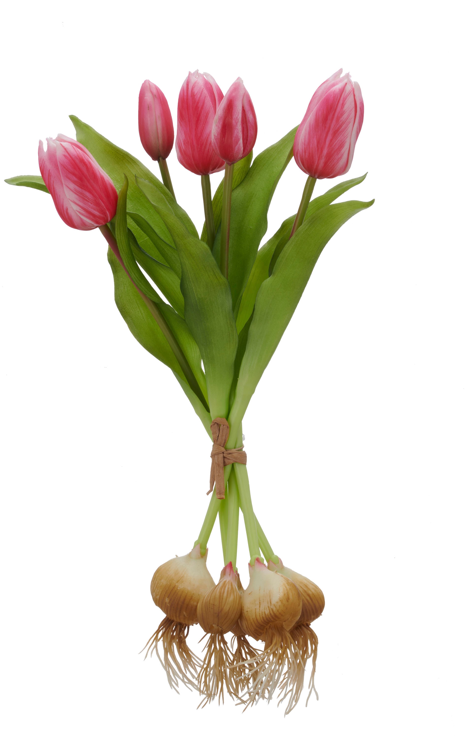 Creativ green Kunsttulpe "Tulpenbund" mit Zwiebeln