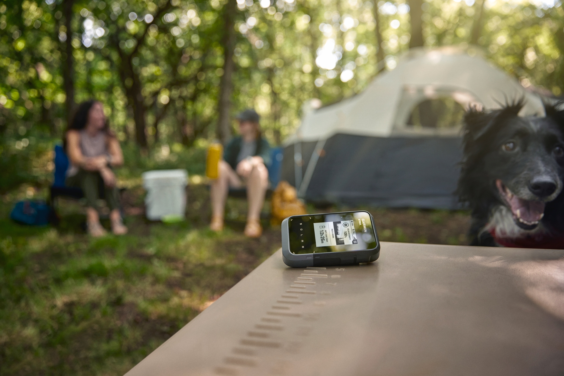 Garmin Wander-Navigationsgerät »eTrex Solar« ( )