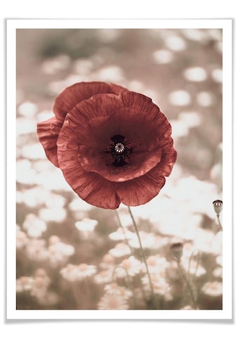 Wall-Art Poster »Mohnblumen Portrait« Blumen (1...