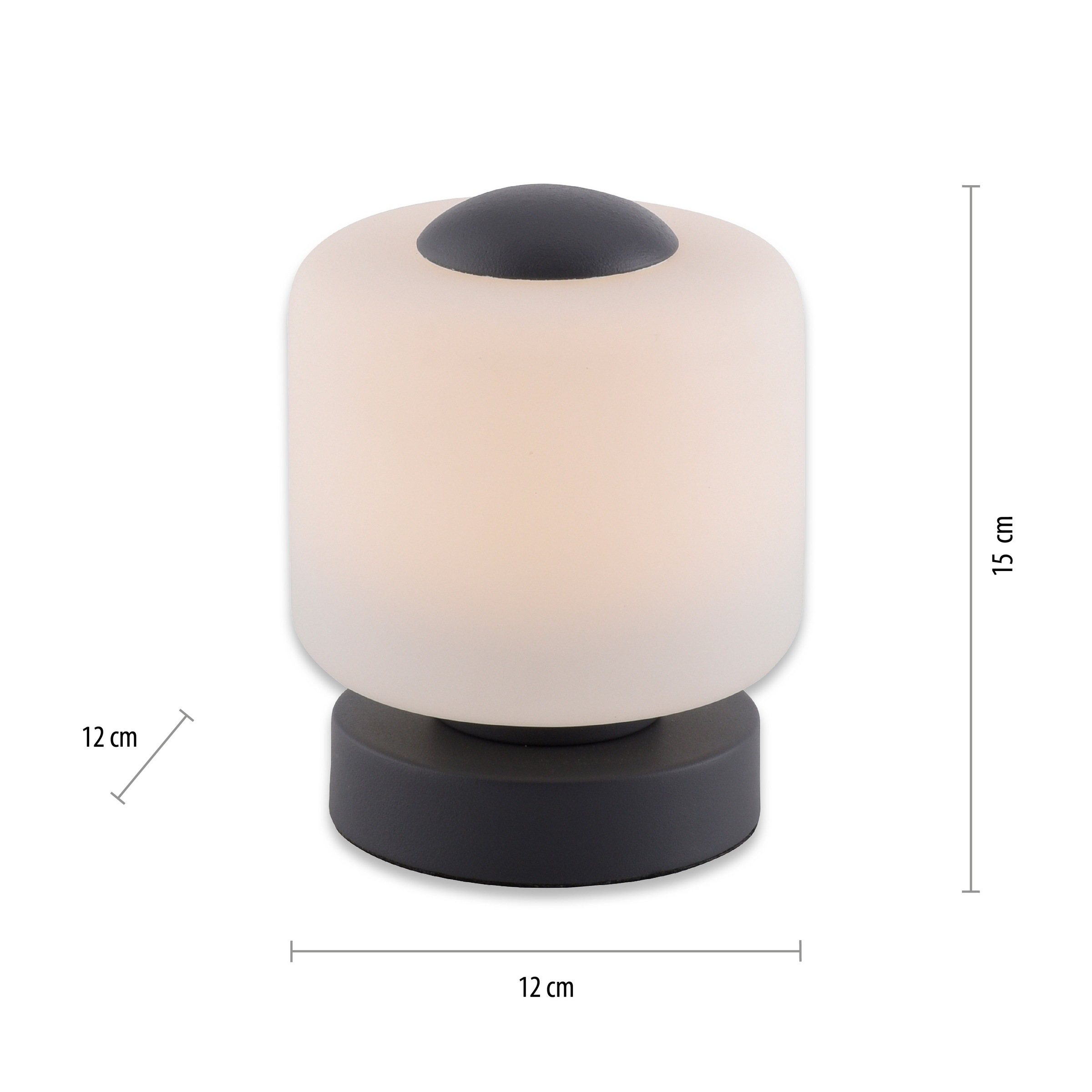 Paul Neuhaus Tischleuchte »BOTA«, 1 flammig, Leuchtmittel LED-Board | LED fest integriert, LED, dimmbar über Touchdimmer