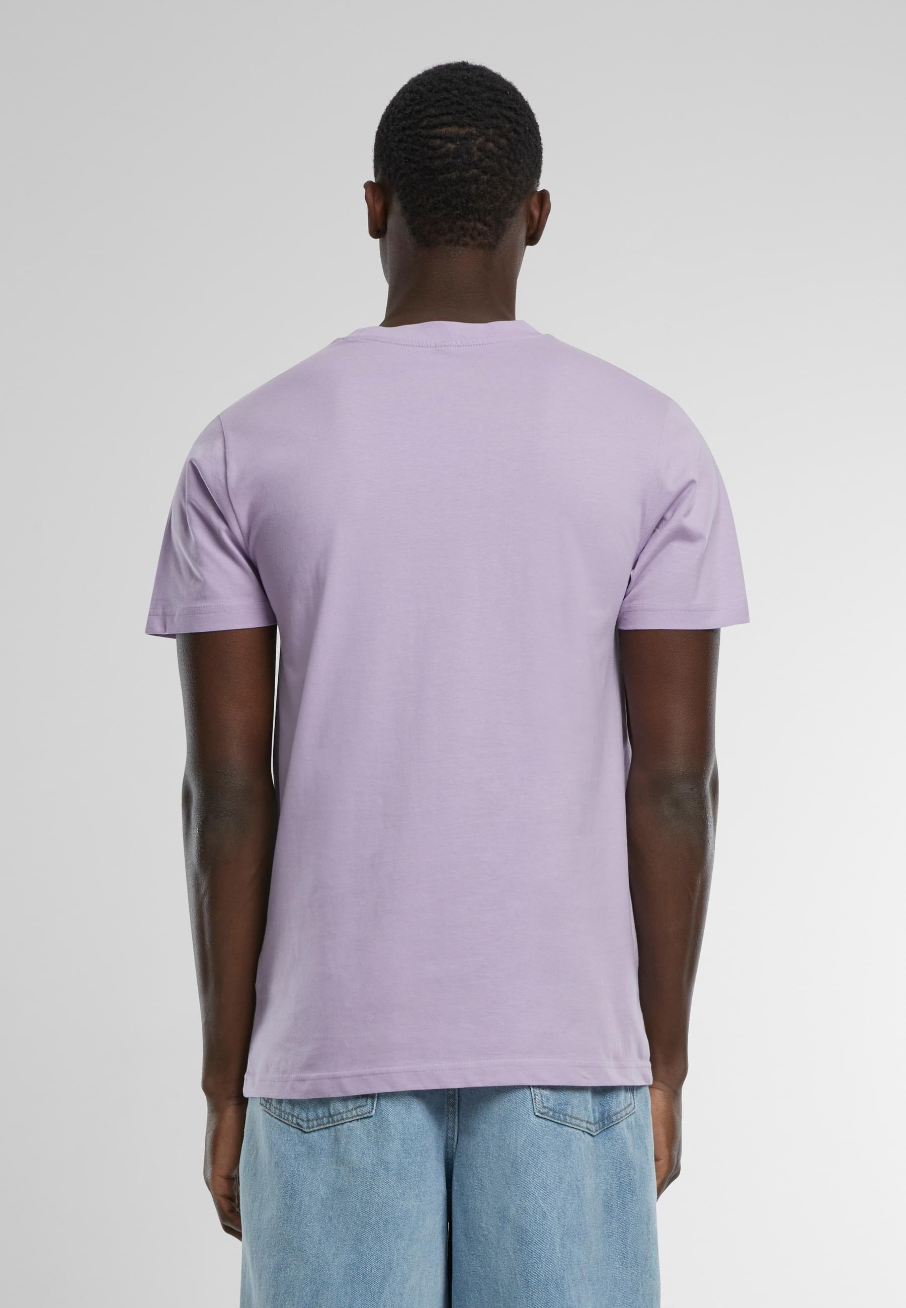 MisterTee T-Shirt »MisterTee Herren Miami Palms Tee«, (1 tlg.)