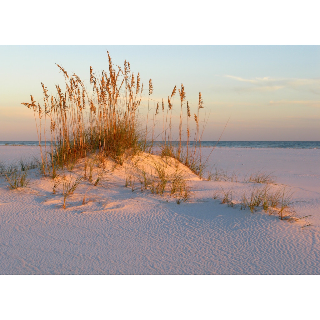 Papermoon Fototapete »DÜNEN- MEER SEE KÜSTE NORDSEE OSTSEE STRAND SYLT GRAS«