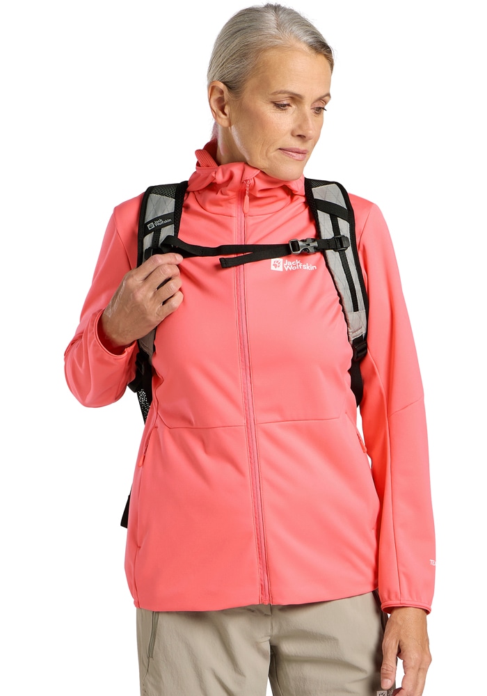 Jack Wolfskin Daypack »WANDERMOOD PACK 20«