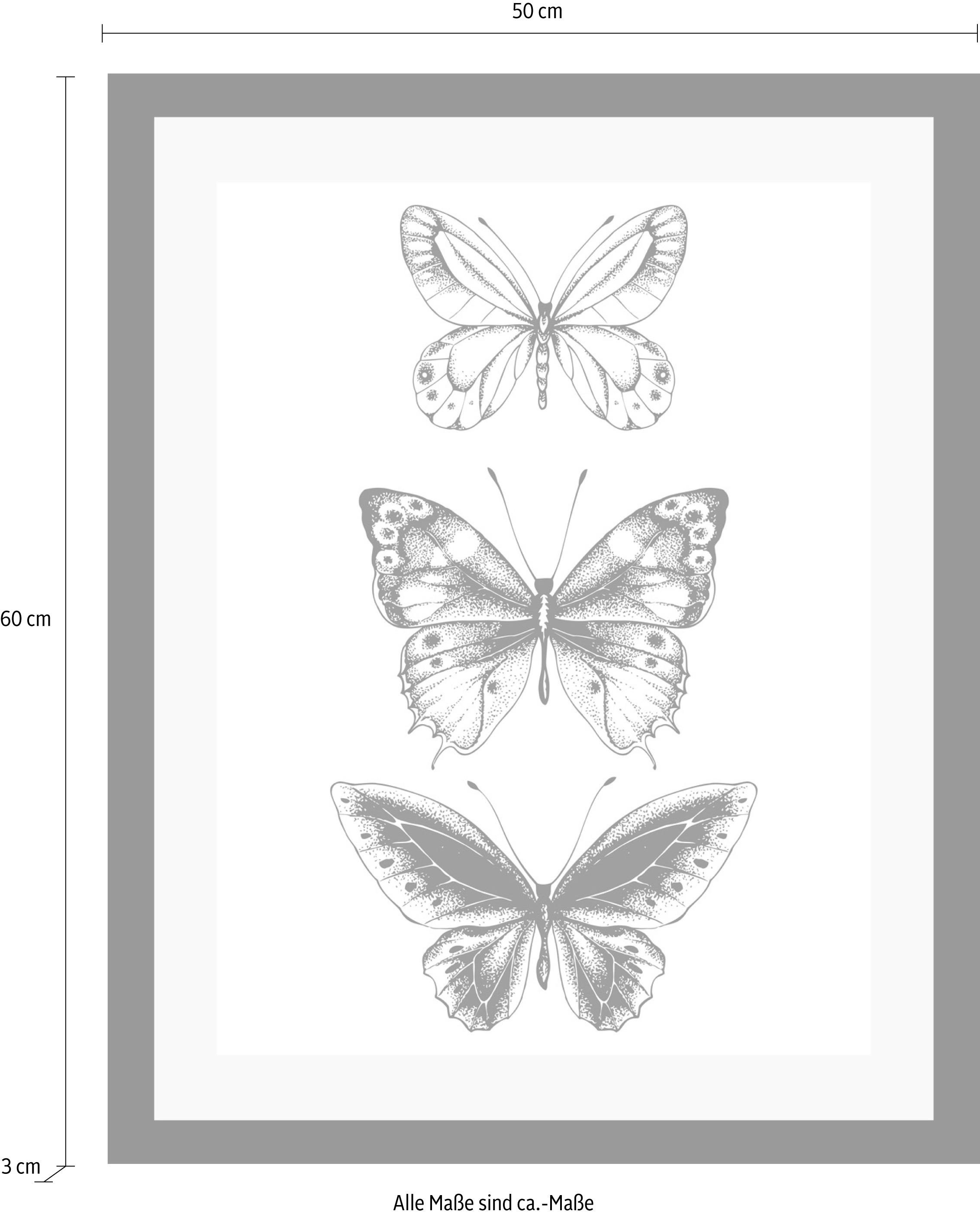queence Bild »Schmetterlinge«, Tiere-Schwarz-Weiß-Kunst-Insekten-Schmetterlinge, HD Premium Poster-Druck inkl. Holzrahmen