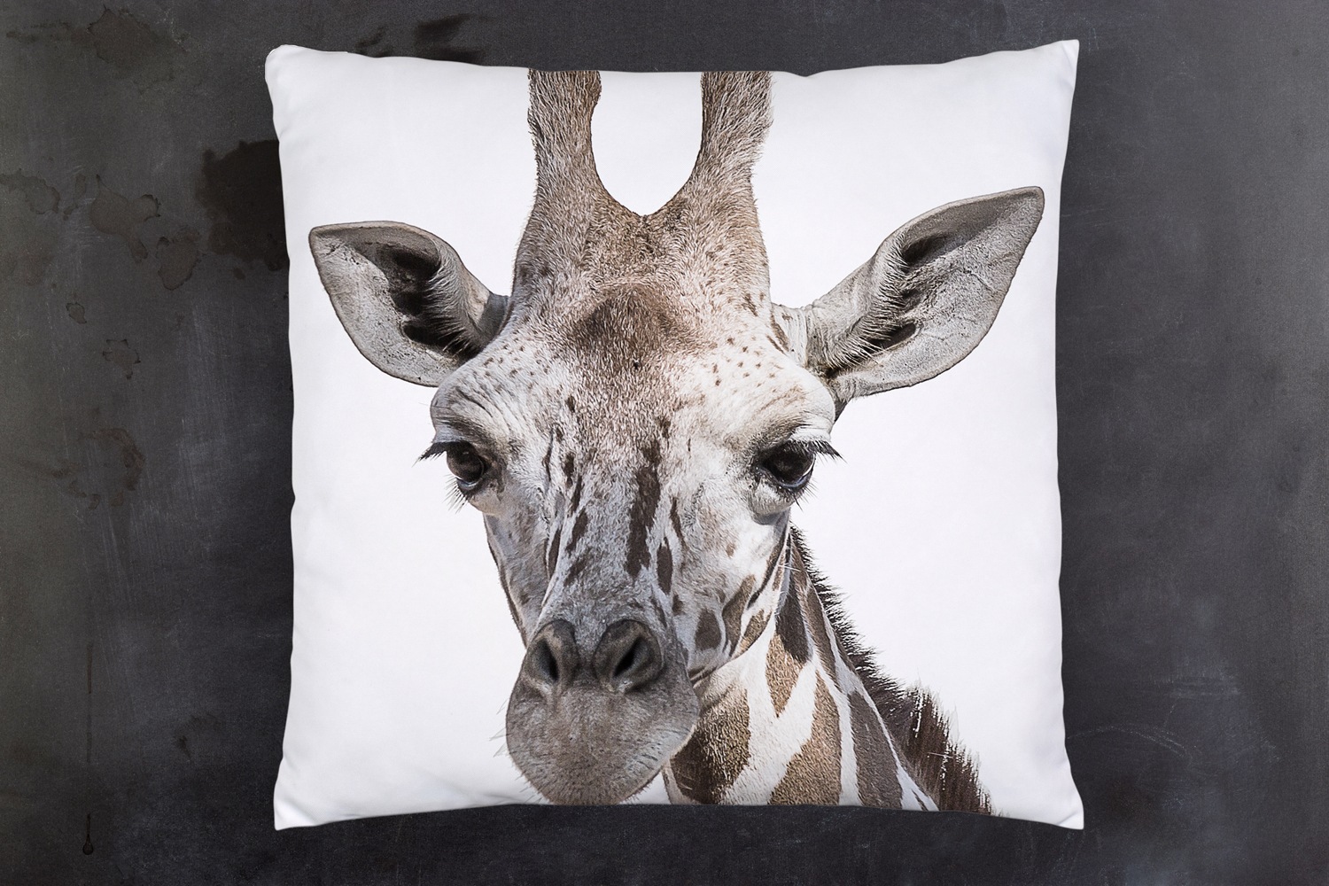 queence Dekokissen »Giraffe«, Kissenhülle mit HD Premium Druck, geruchsneutral, 40x40cm