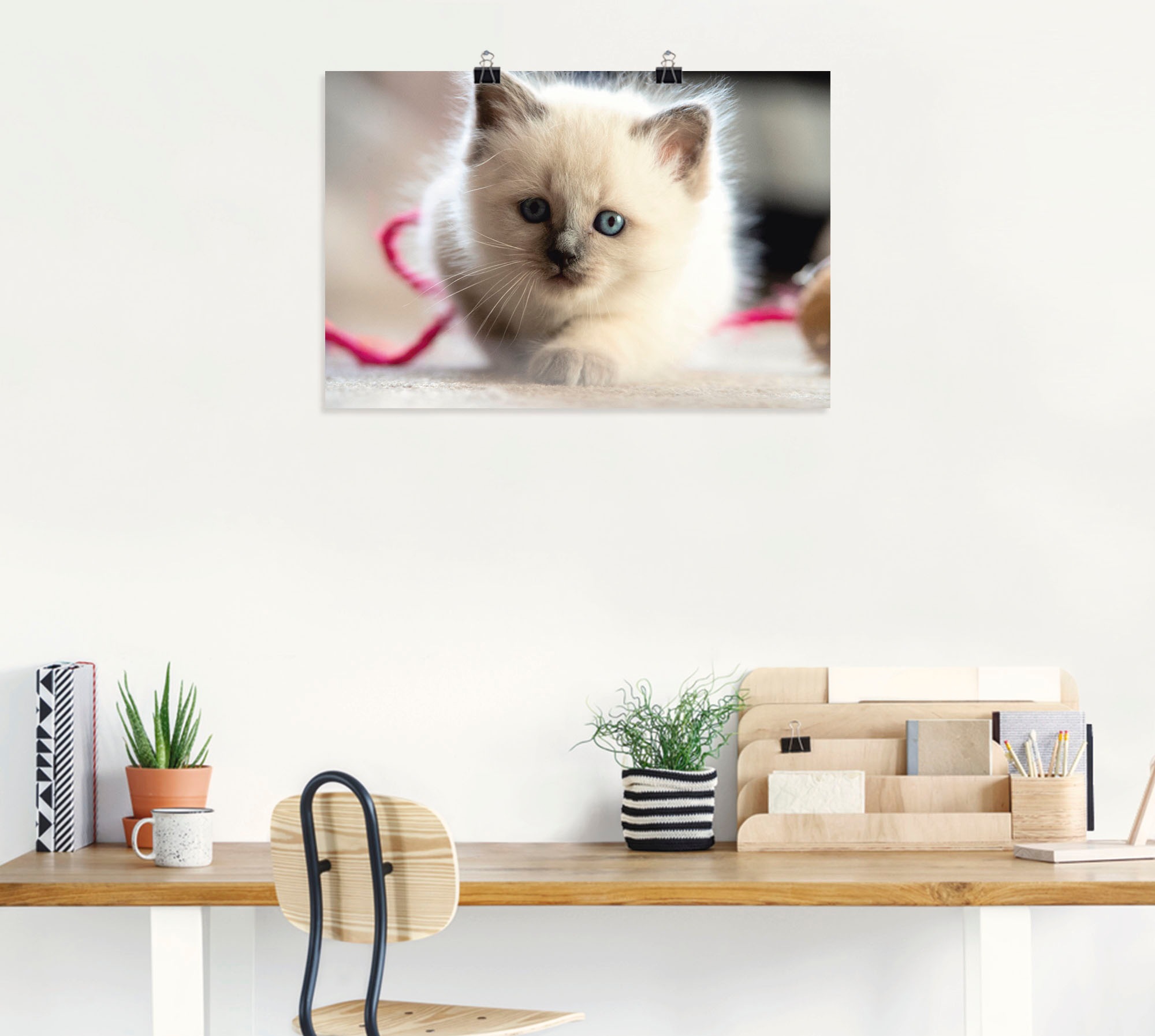 Artland Leinwandbild »Heilige Birma Katze im Spiel«, Katzenbilder, (1 St.), auf Keilrahmen gespannt