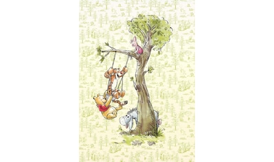 Vliestapete »Winnie the Pooh in the wood«, 200x280 cm (Breite x Höhe)