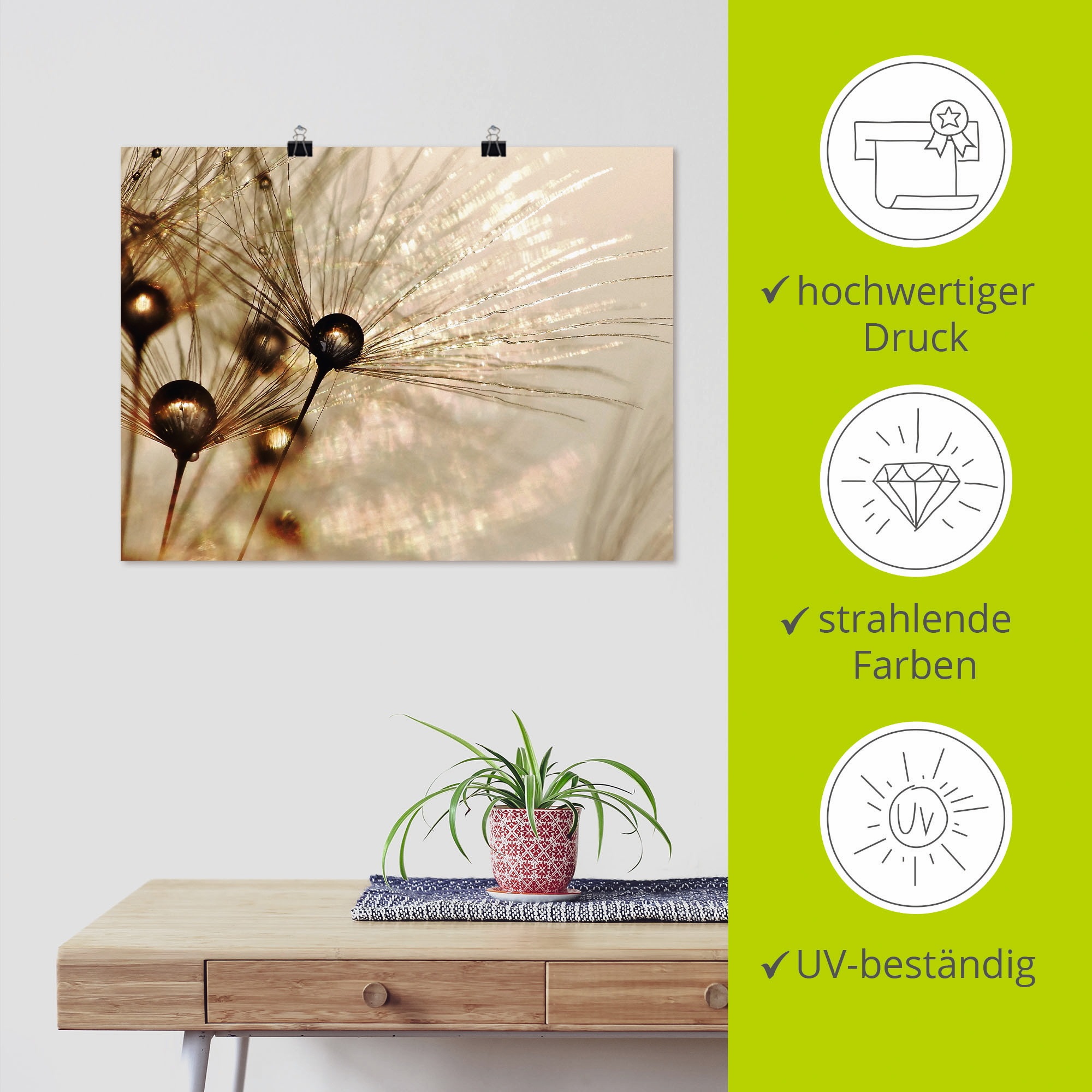 Artland Wandbild »Pusteblume Goldener Tropfen«, Blumen, (1 St.), als Alubild, Outdoorbild, Leinwandbild, Poster, Wandaufkleber