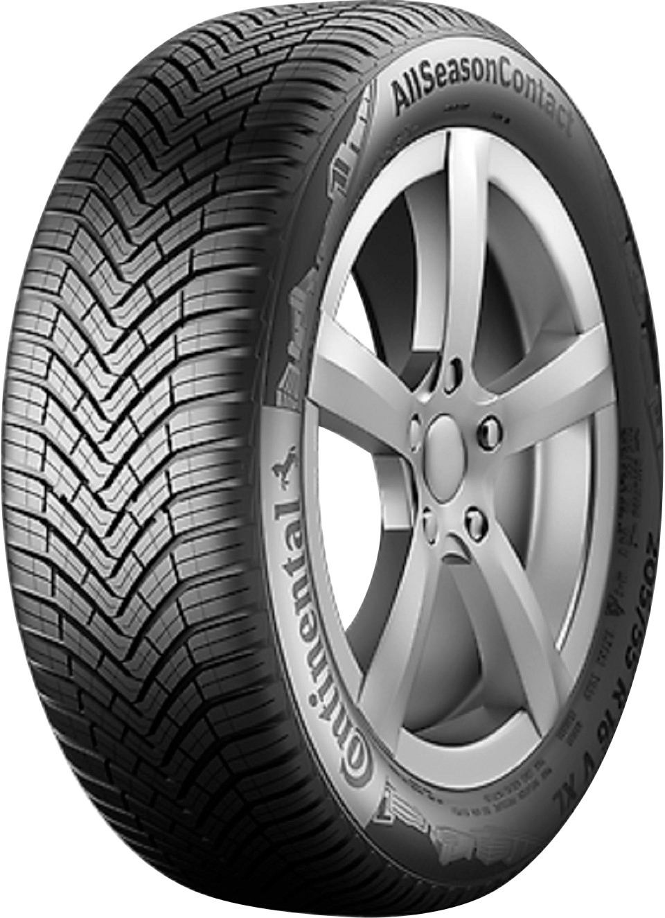 online | (1 BAUR 92V CONTINENTAL »AllSeasonContact«, St.), kaufen 225/40 R18 Ganzjahresreifen