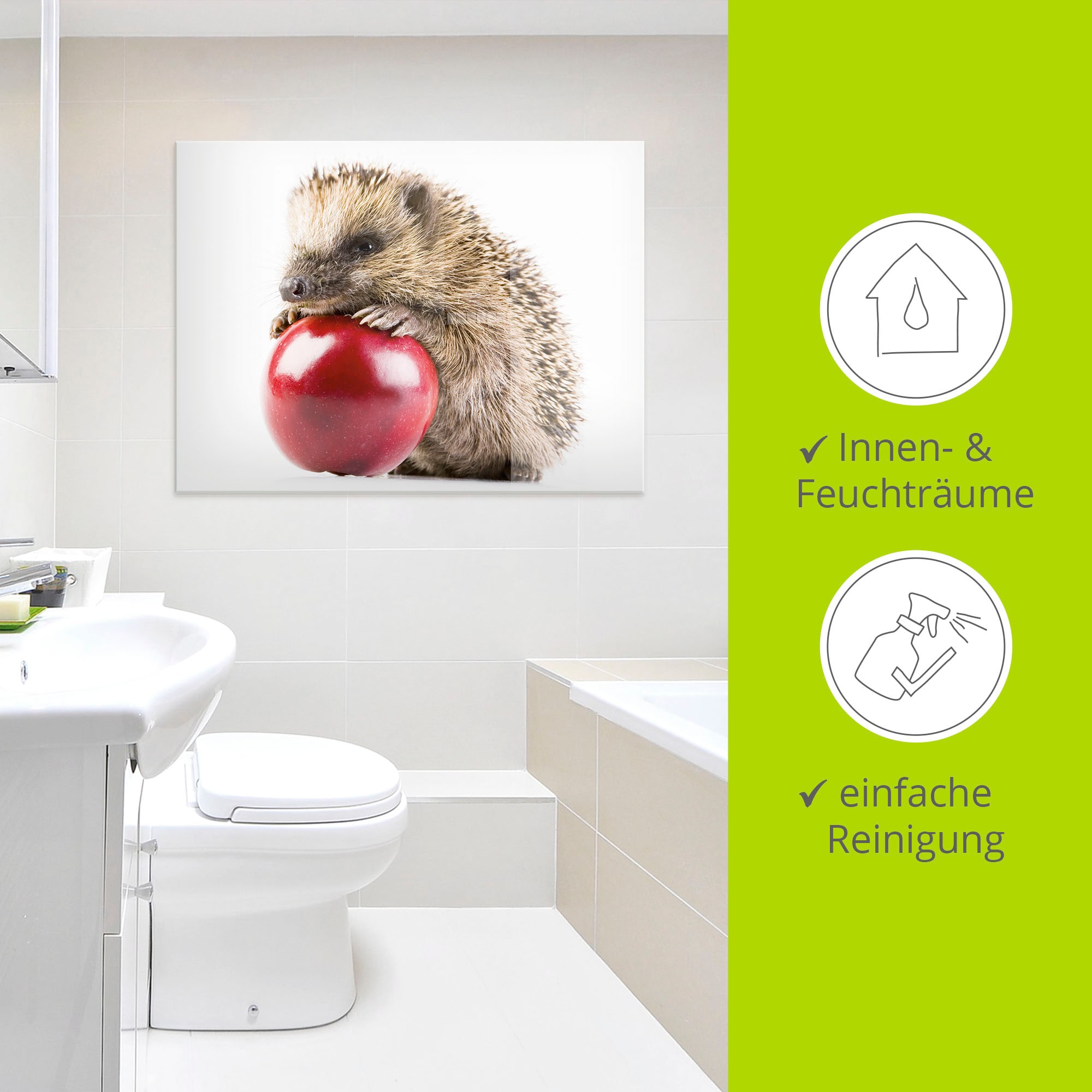 Artland Glasbild »Glücklicher Igel«, Wildtiere, (1 St.), in verschiedenen Größen