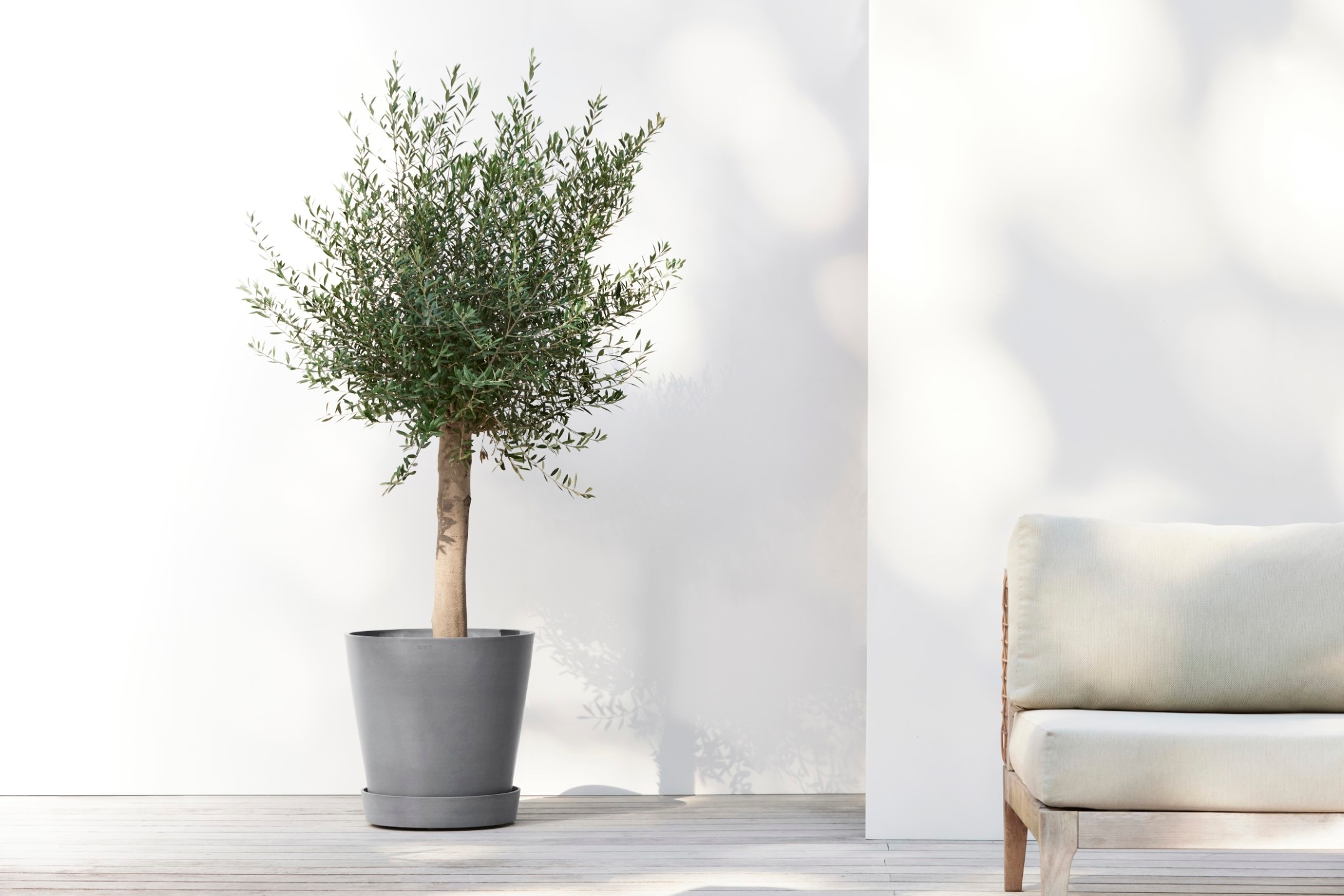 ECOPOTS Blumentopfuntersetzer »SAUCER WHEELS Grey« BxTxH: 41,5x41,5x9 cm