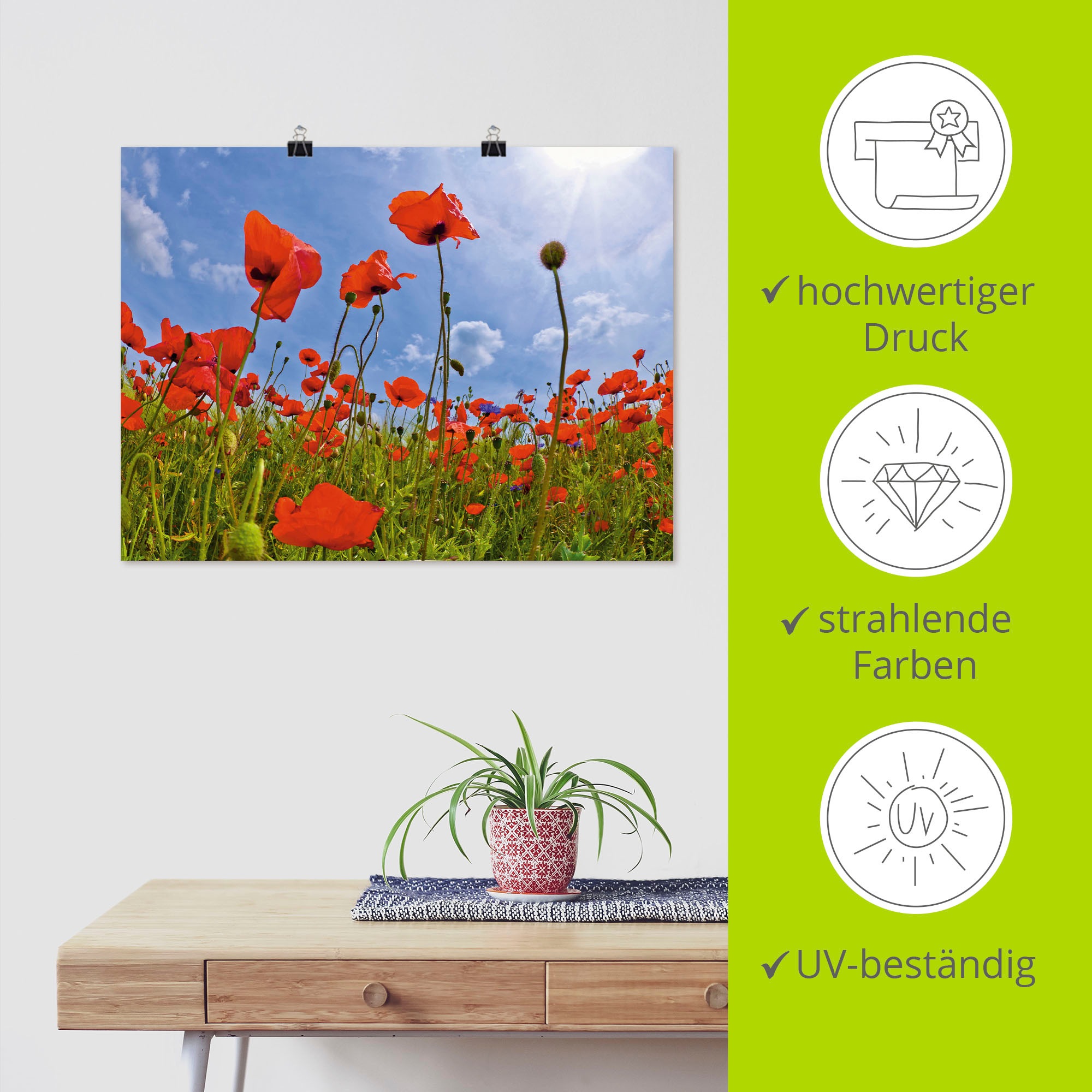 Artland Poster »Mohnblumenfeld«, Blumen, (1 St.), als Leinwandbild, Wandaufkleber oder Poster in versch. Größen