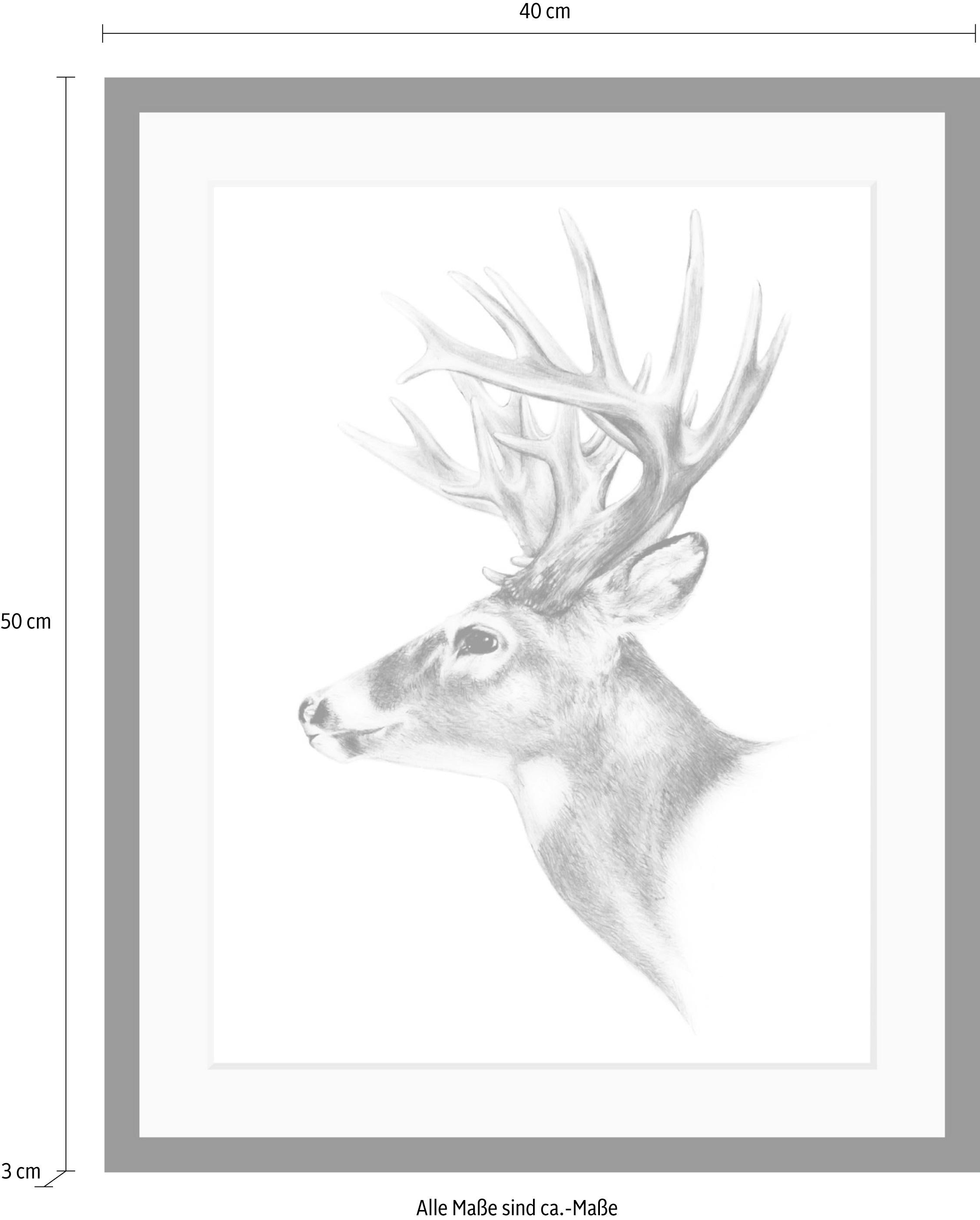 queence Bild »Hirsch«, Hirsch-Tiere-Wildtiere-Hirschbilder-Schwarz-Weiß, HD Premium Poster-Druck inkl. Holzrahmen