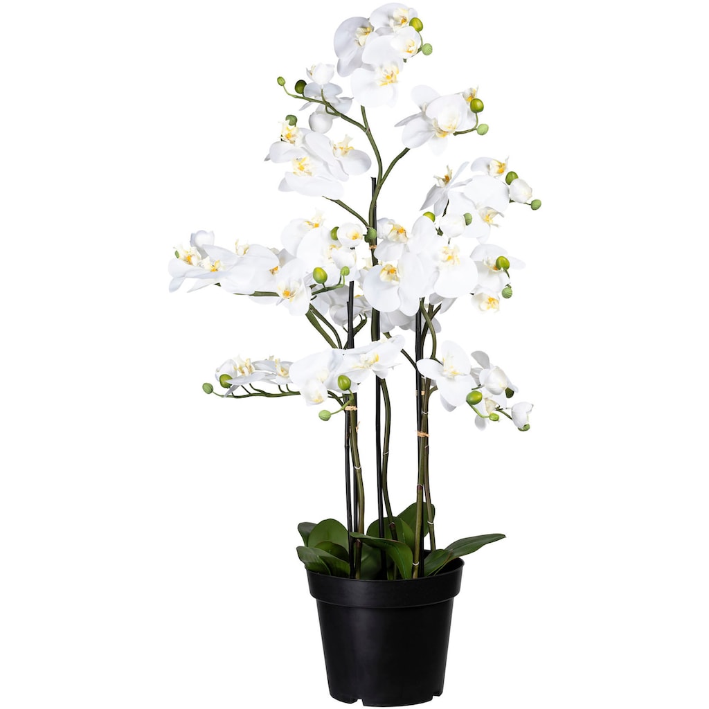 Creativ green Kunstorchidee »Phalaenopsis«