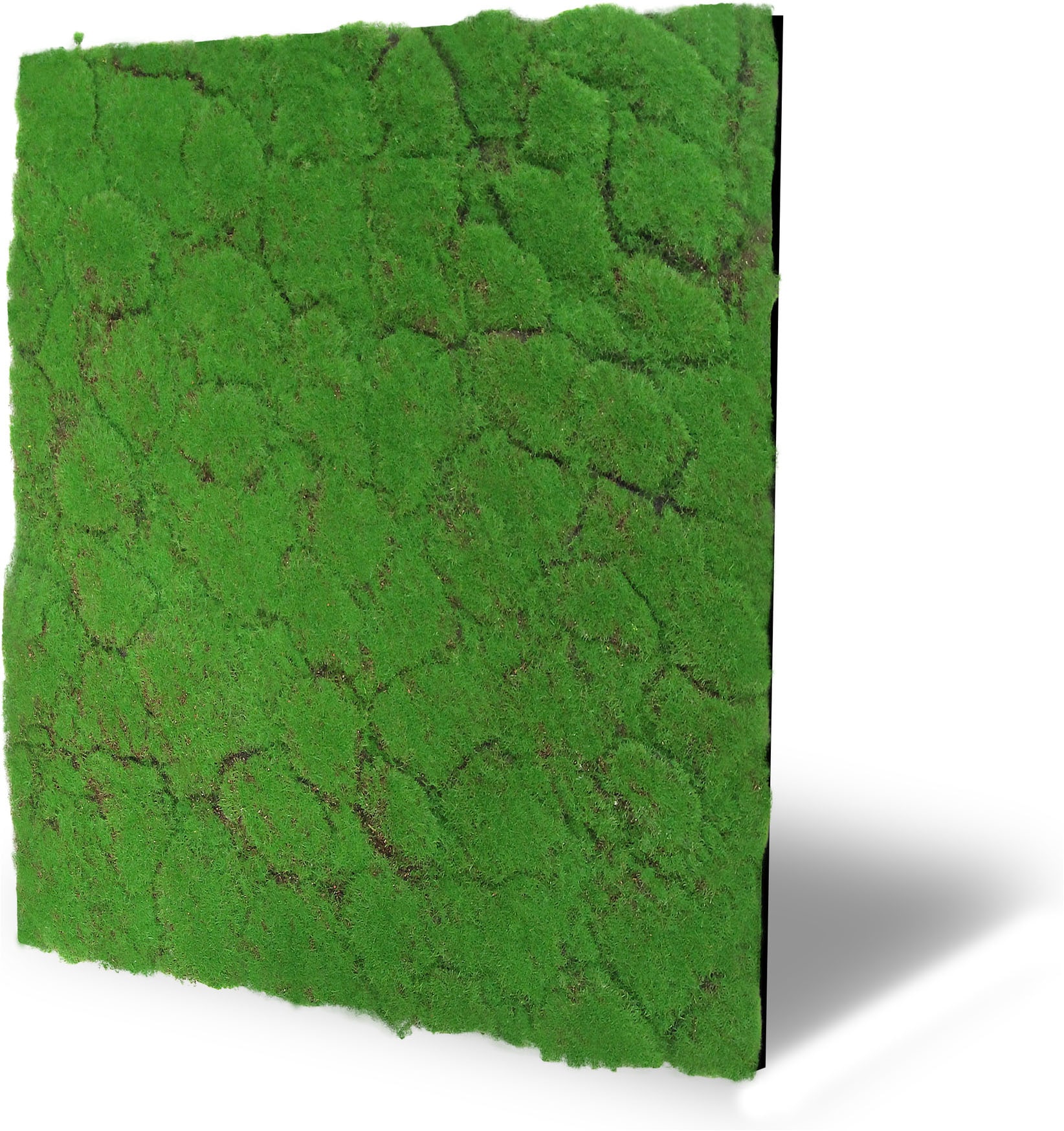 Architects Paper Wandpaneel »A.S. Création Modular Wall Wandpaneel Moosoptik« 1 tlg. Pflegeleichte Moosoptik auf rPET-Filz für natürliche 3D-Wände
