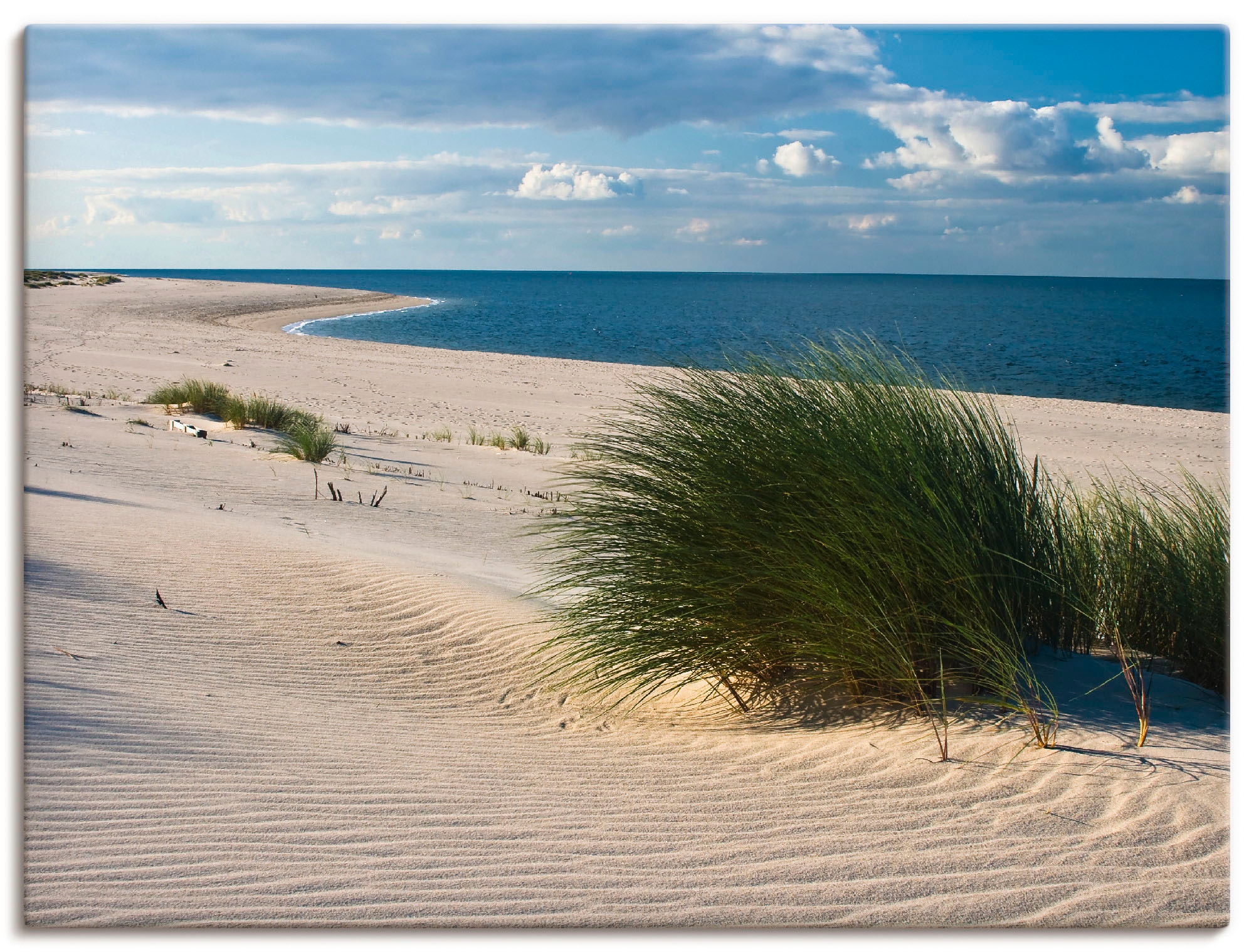 Artland Wandbild "Gras am Strand" Strand 1 Stk. tlg. auf Holzrahmen gespann günstig online kaufen