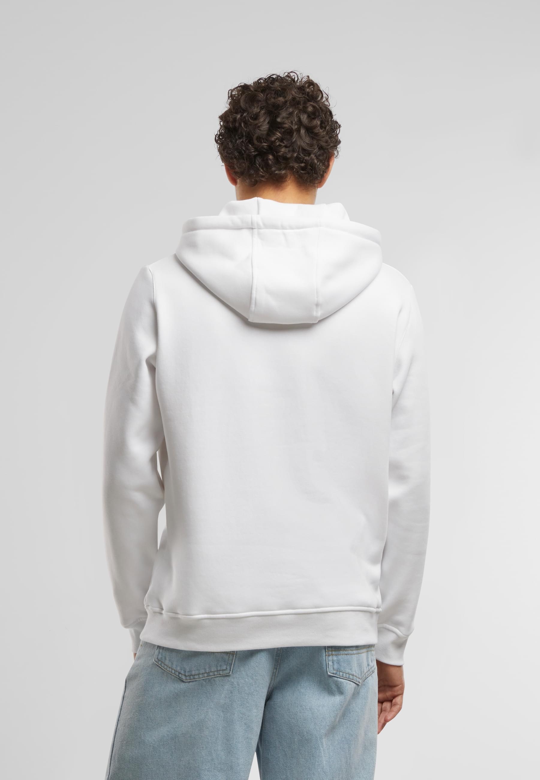 MisterTee Kapuzensweatshirt »MisterTee USA College Wording Patch Hoody«, (1 tlg.)