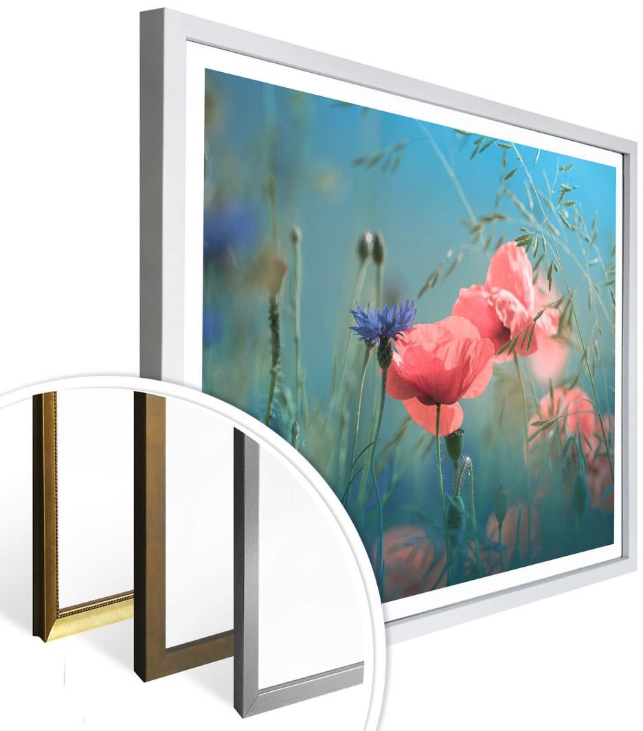 Wall-Art Poster »Wildblumen Aquamarin«, Blumen, (1 St.) kaufen | BAUR