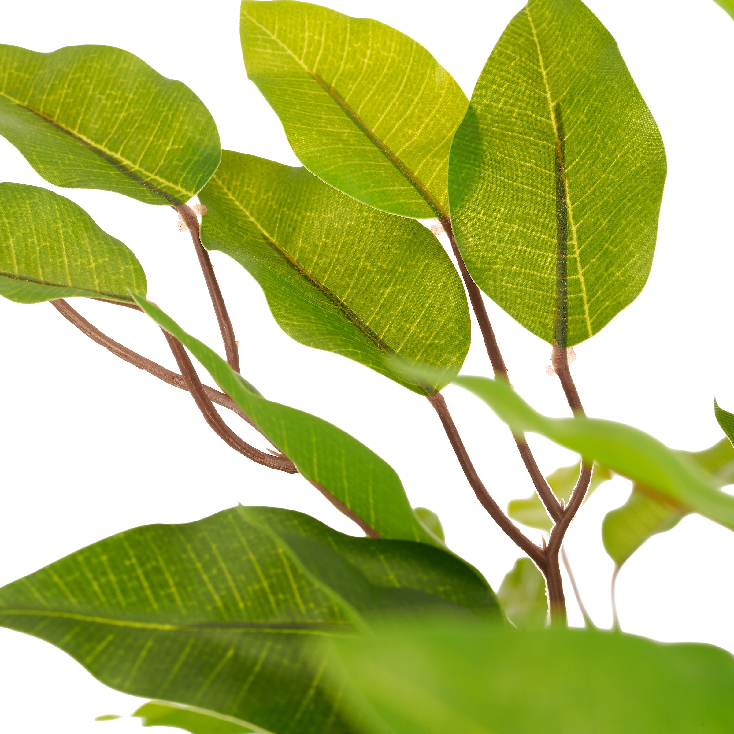 Creativ green Kunstbaum »Ficus benjamina« mit schönem Blattwerk