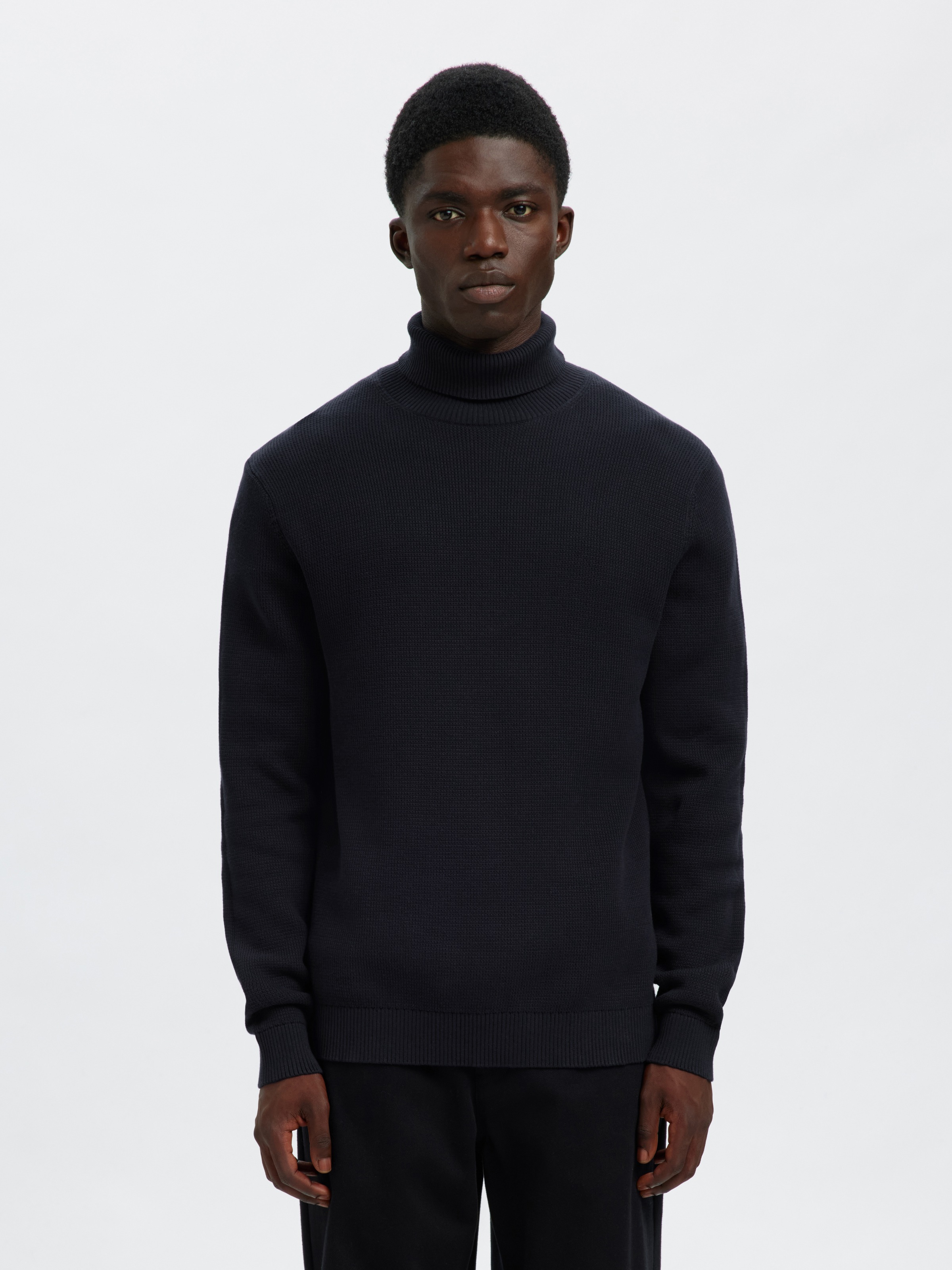 Selected Herren Rollkragen Pullover SLHDANE LS KNIT STRUCTURE ROLL NECK - R günstig online kaufen