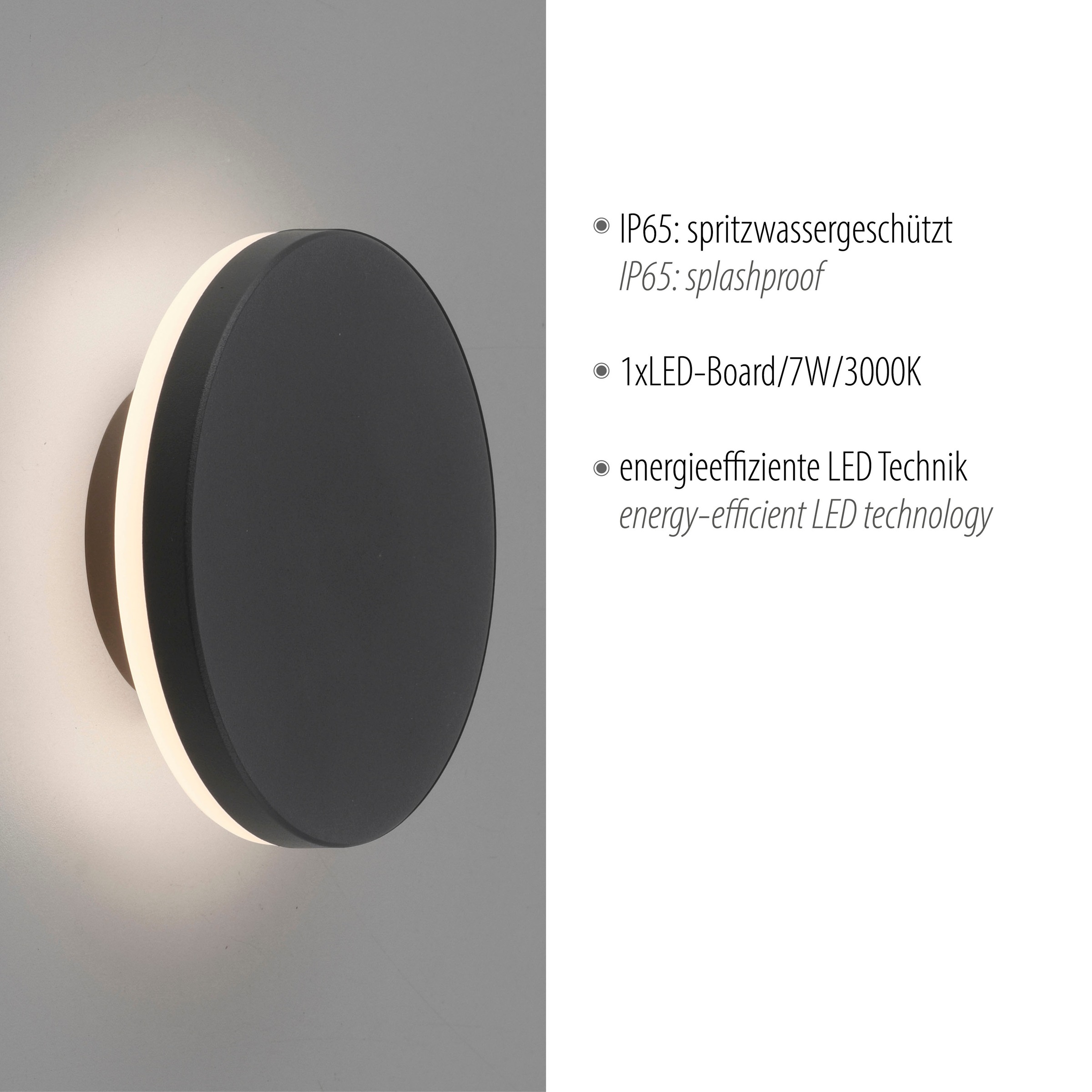 Paul Neuhaus Außen-Wandleuchte »PUNTUA«, 1 flammig, Leuchtmittel LED-Board | LED fest integriert