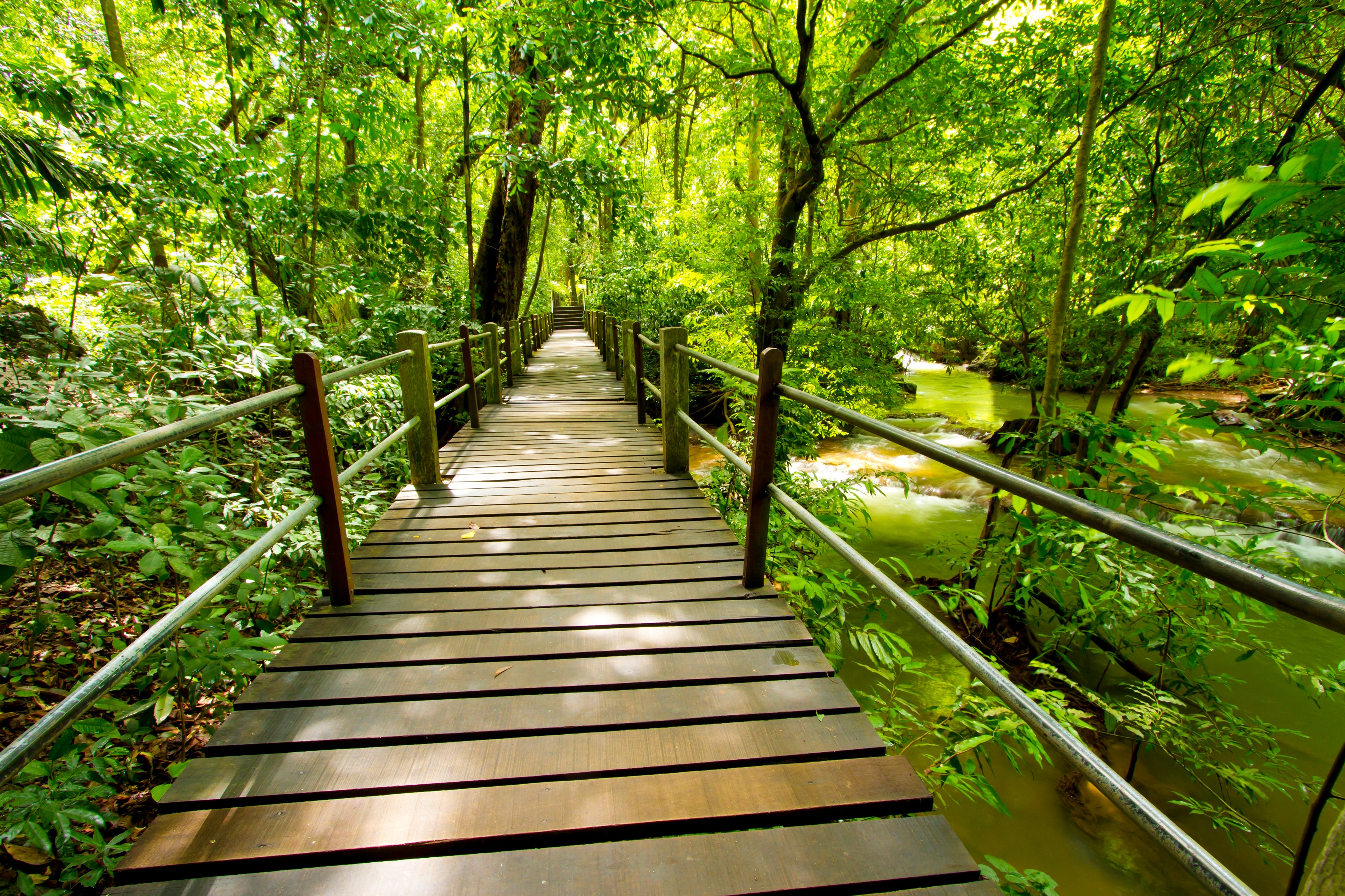 Papermoon Fototapete "Bridge Walk" glatt