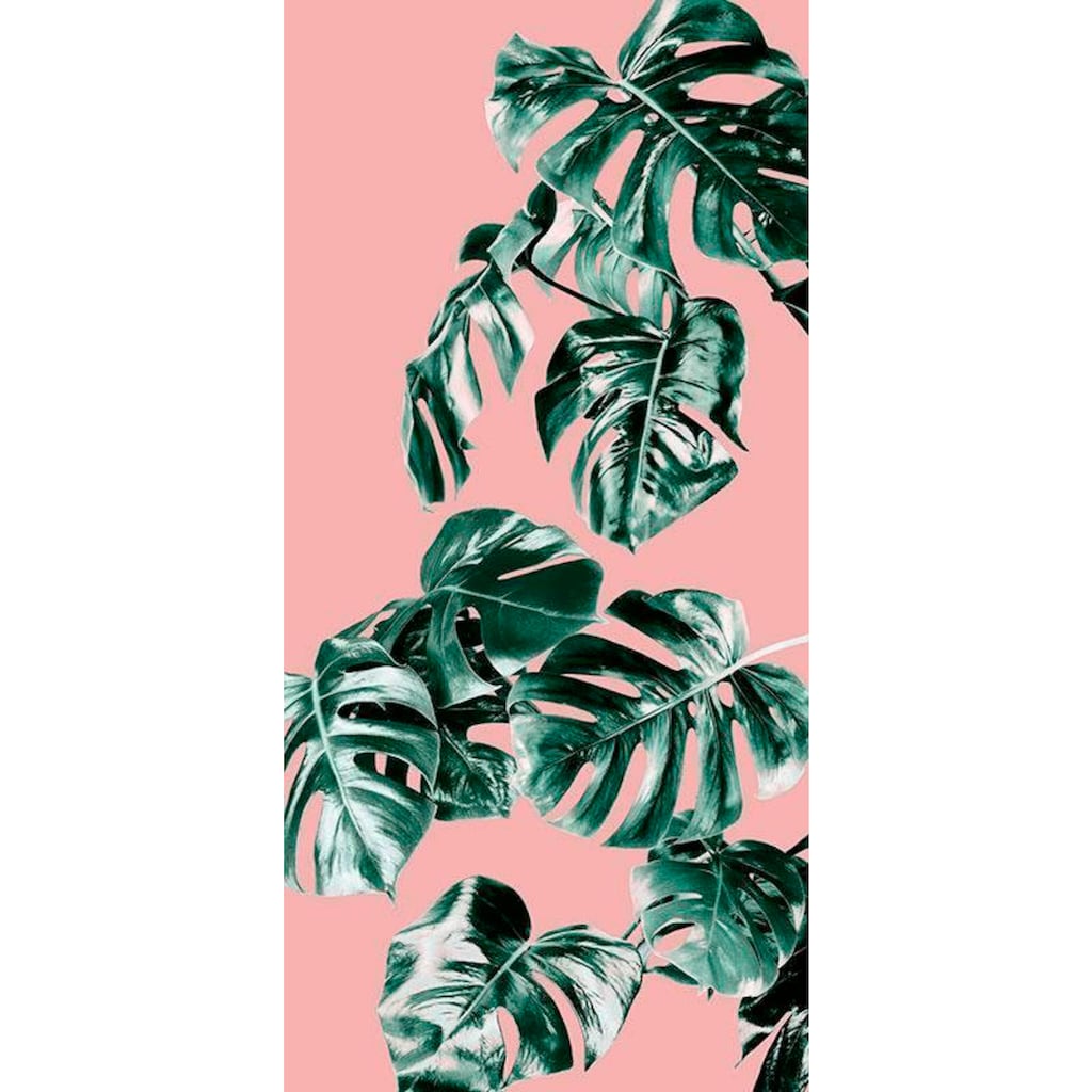 Komar Vliestapete »Monstera Rosé Panel«, 100x250 cm (Breite x Höhe), Vliestapete, 100 cm Bahnbreite