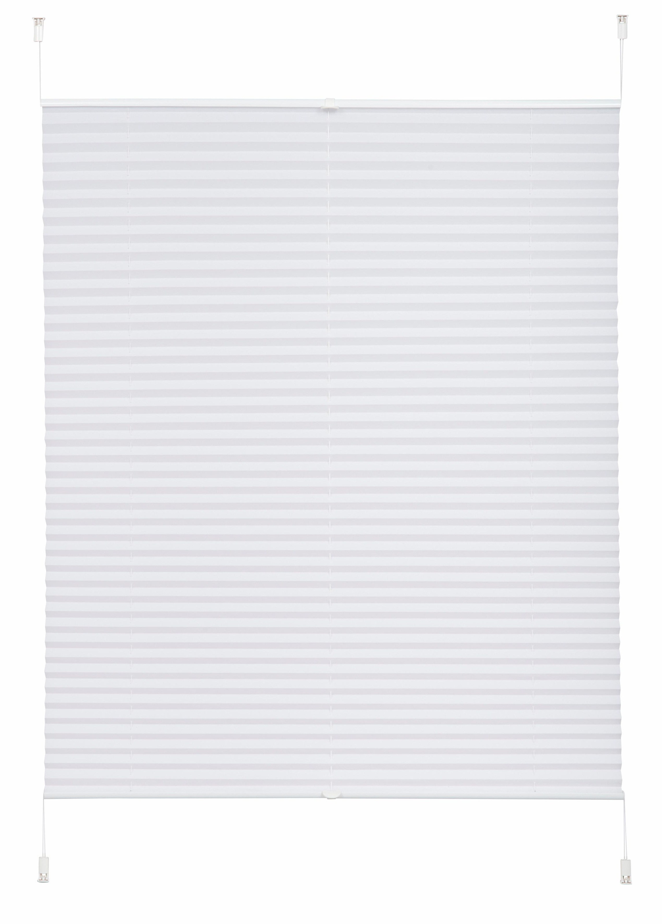 my home Plissee "LAHOLM" Lichtschutz ohne Bohren verspannt Fixmaß, Bestsell günstig online kaufen