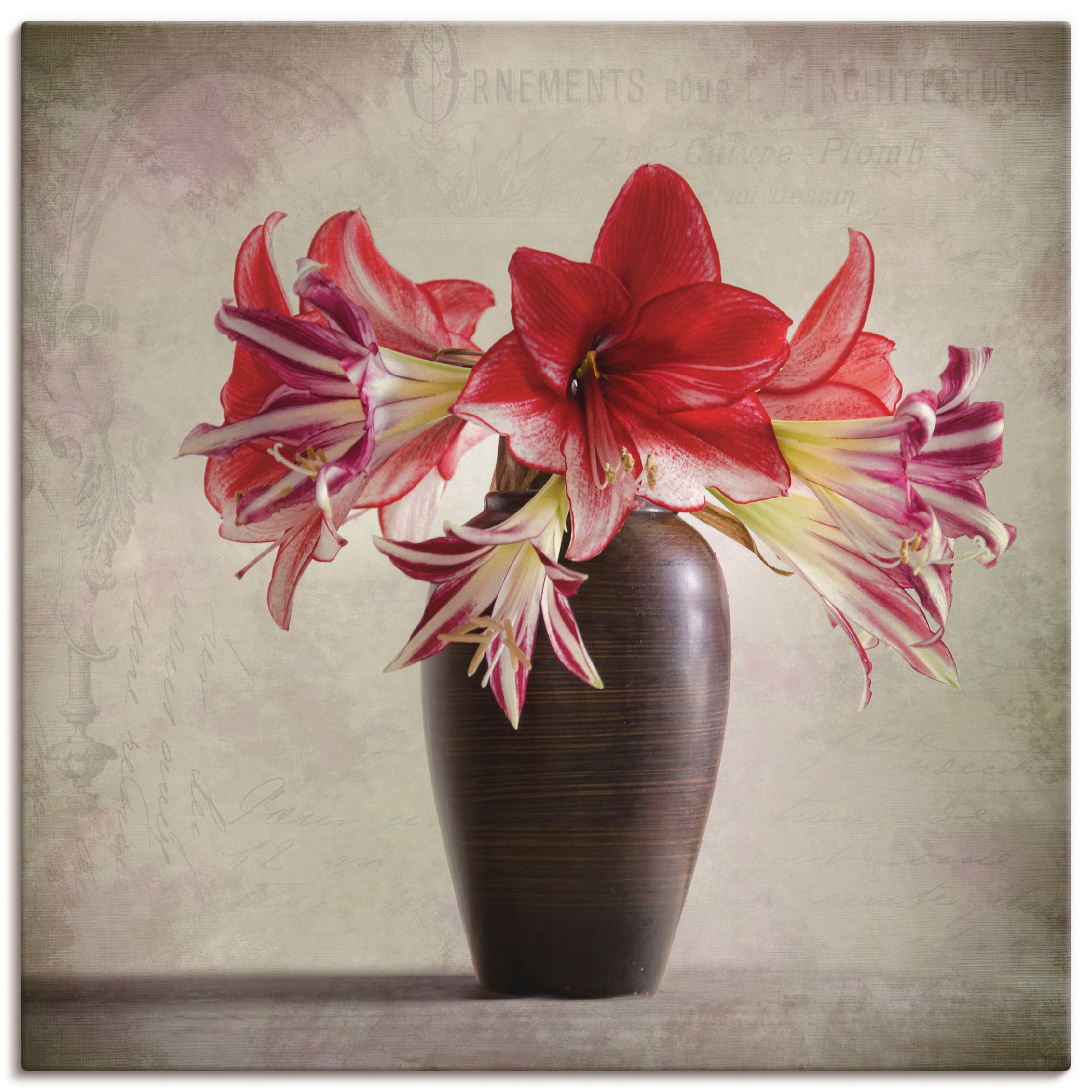 Black Friday Artland Wandaufkleber II«, als versch. (1 Wandbild Alubild, Größen | Poster oder »Amaryllis in Vintage BAUR Leinwandbild, St.), Blumen