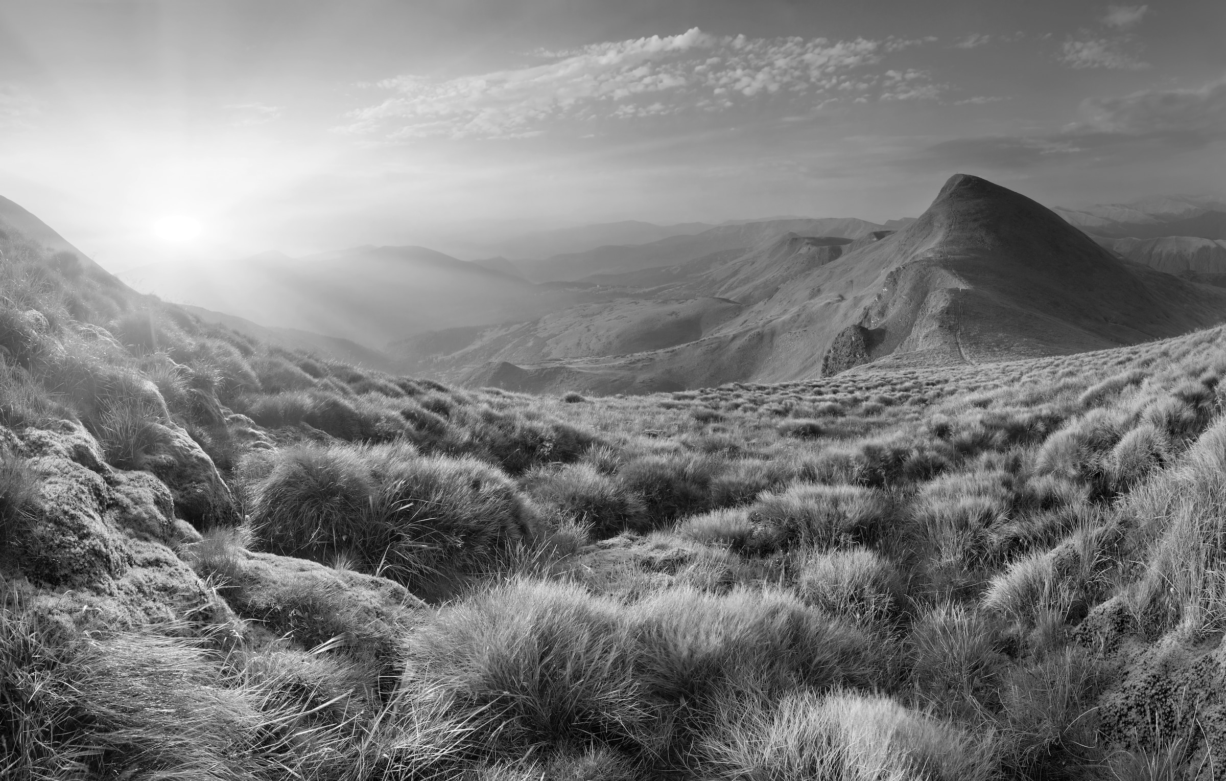 Fototapete »Landschaft Schwarz & Weiß«