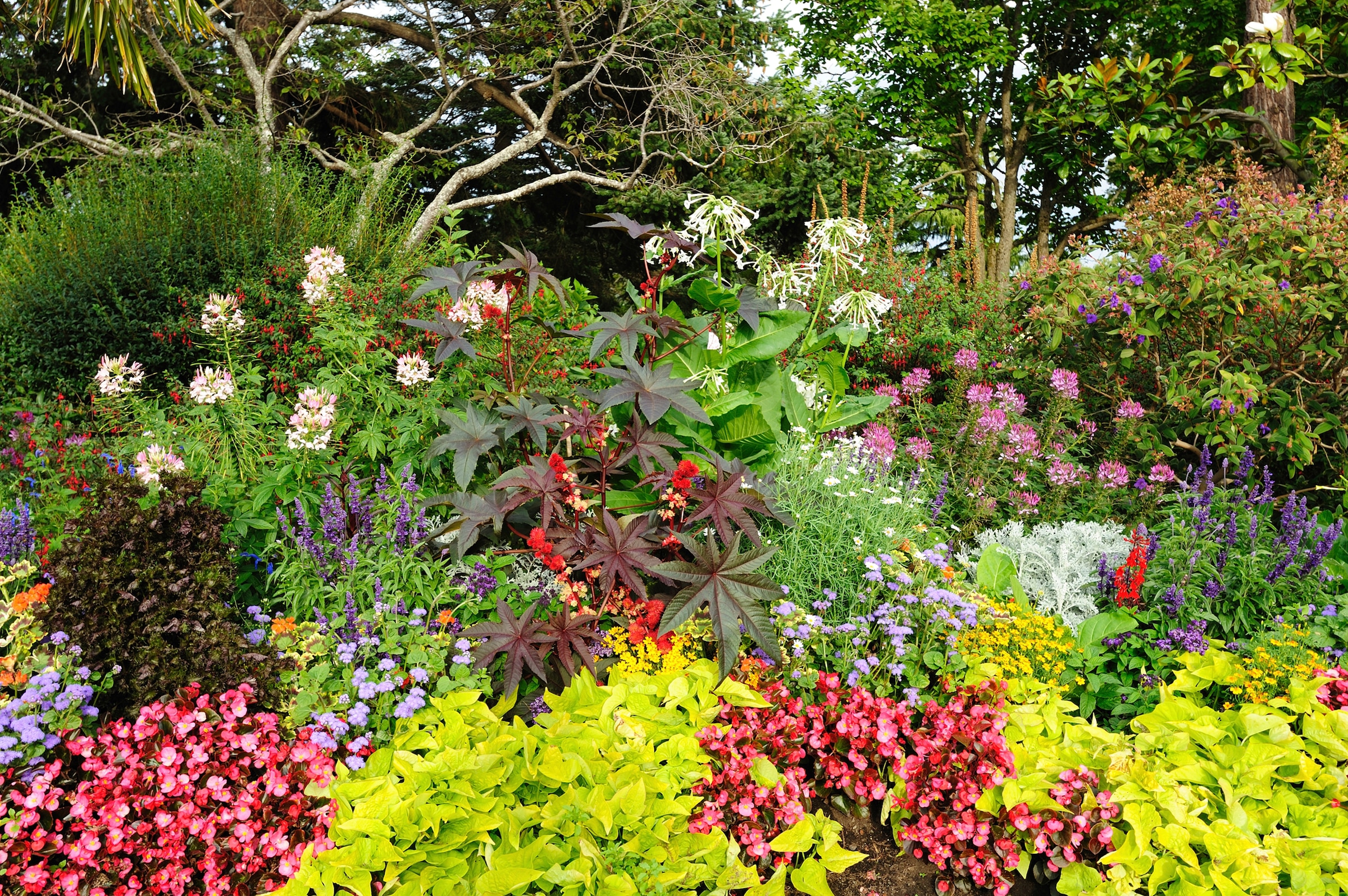 Papermoon Fototapete »GARTEN-BÄUME BLUMEN PFLANZEN PARK STEINE WALD BLÜTEN«