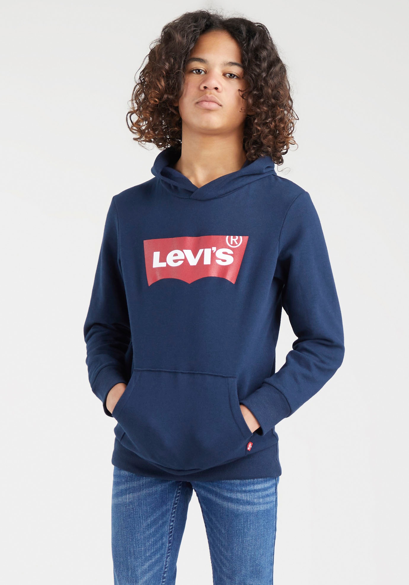 Levis Kids "LVB BATWING PULLOVER HOODIE", for BOYS