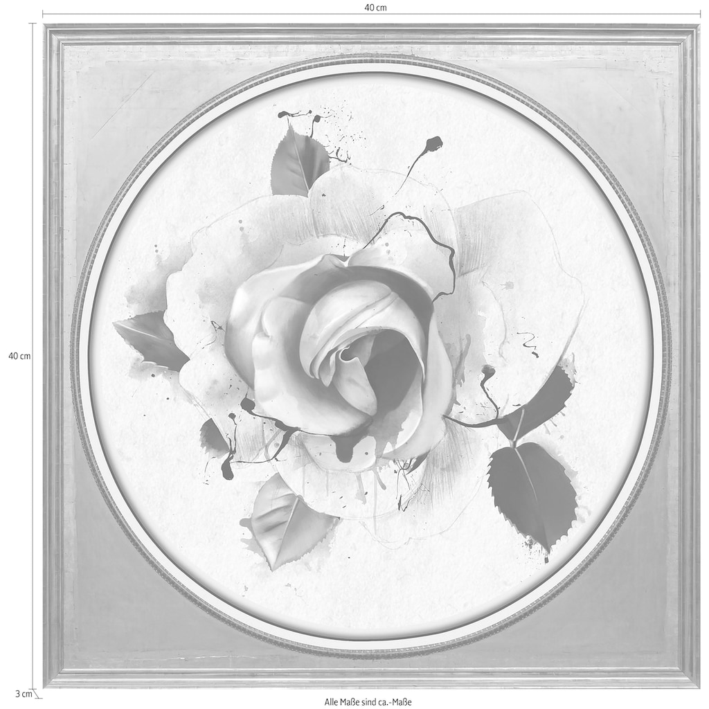 queence Acrylglasbild »Rose Pastell«