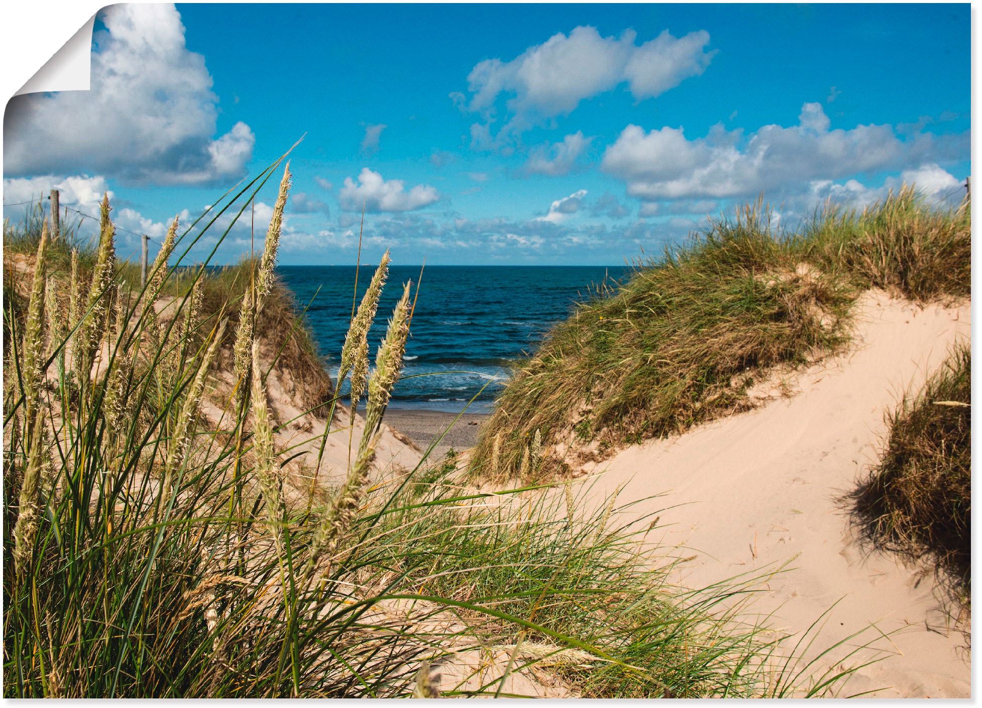 Artland Wandbild »Strand bei Vesterhav«, Strand, (1 St.), als Alubild,  Leinwandbild, Wandaufkleber oder Poster in versch. Größen bestellen | BAUR