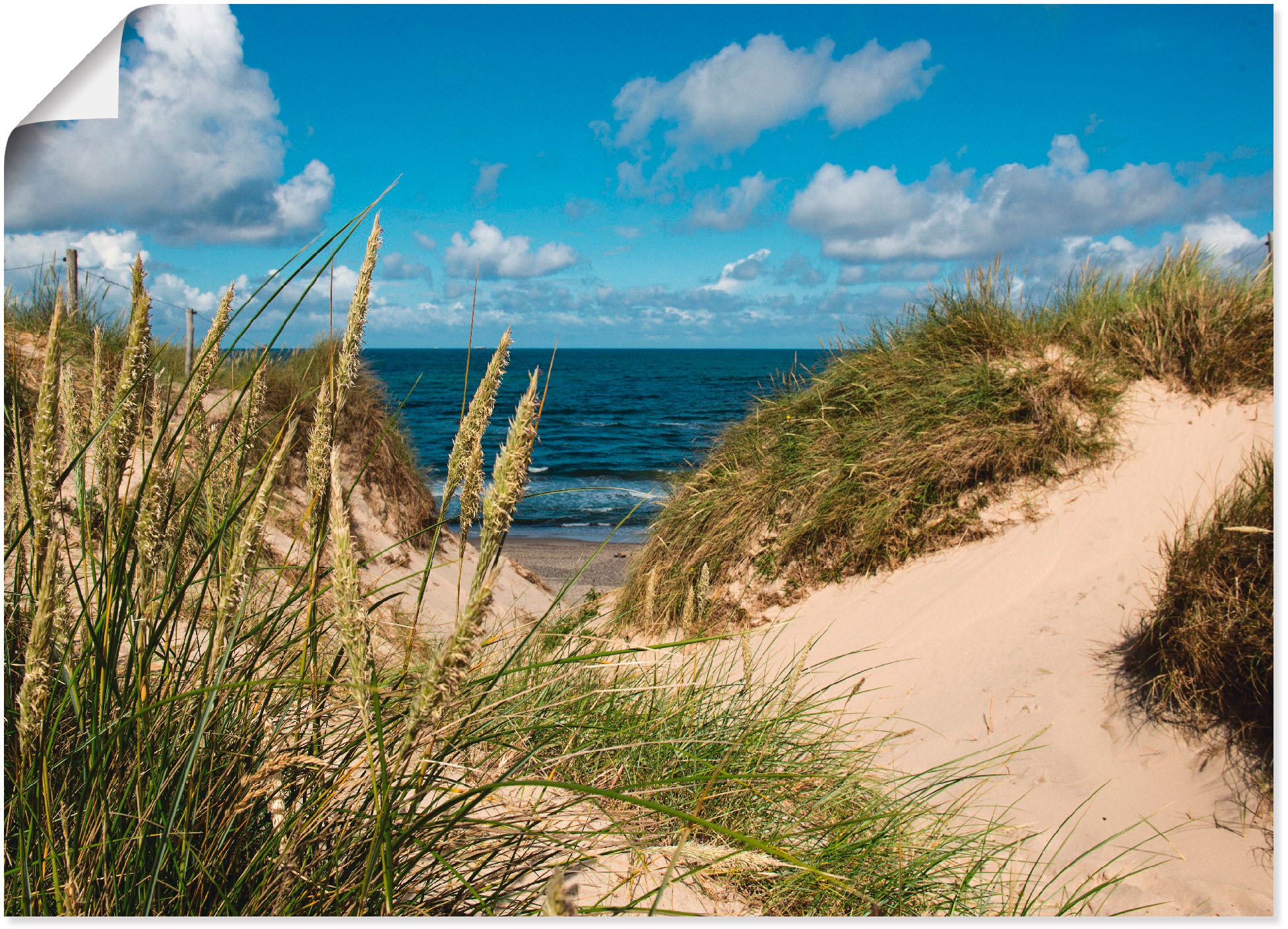 Artland Poster "Strand bei Vesterhav", Strand, (1 St.), als Alubild, Leinwa günstig online kaufen