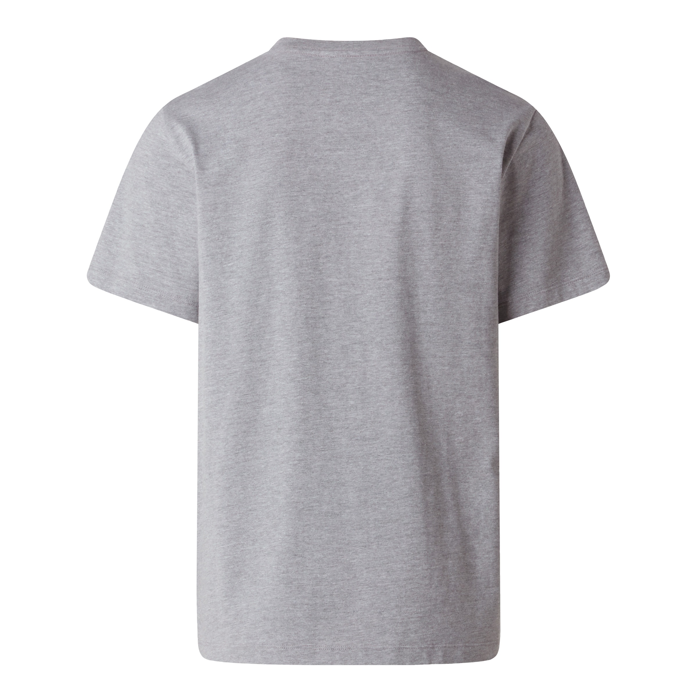 The North Face T-Shirt »M EVOLUTION SIMPLE DOME REGULAR SHORT SL« normale Passform, Kurzarm, für den Alltag, aus Baumwolle