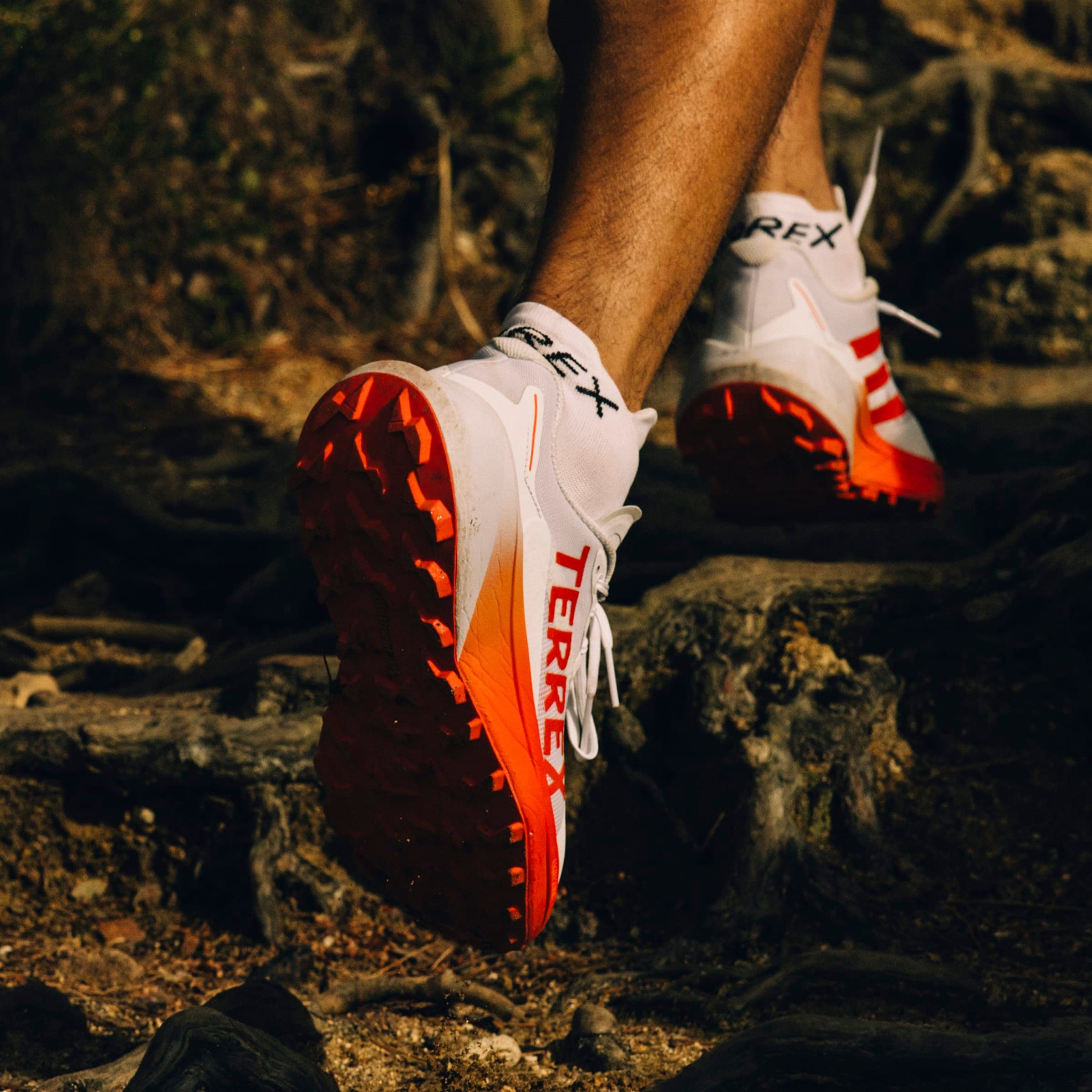 adidas TERREX Trailrunningschuh »TERREX AGRAVIC 3 TRAILRUNNING«