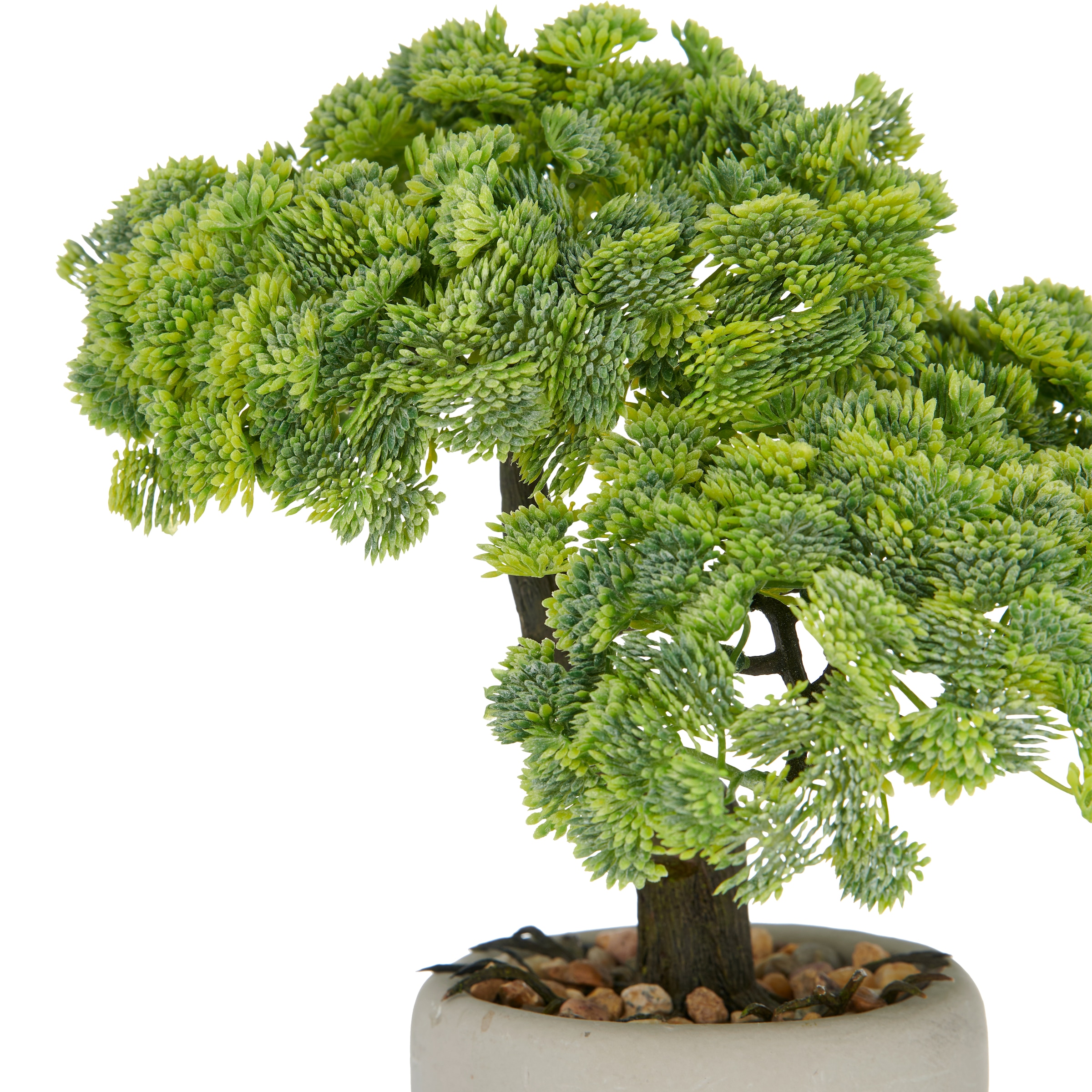 Creativ green Kunstbonsai »Bonsai Sedum multiceps«, mit modernem Pflanzgefäß