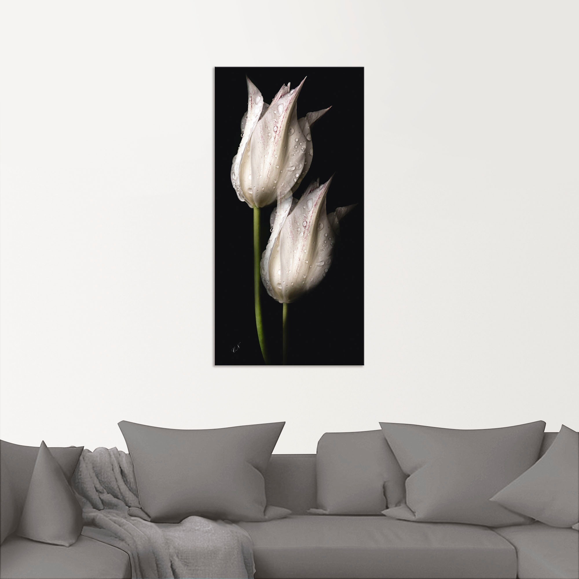 Artland Wandbild "Weiße Tulpen in der Nacht" Blumenbilder 1 Stk. tlg. als A günstig online kaufen