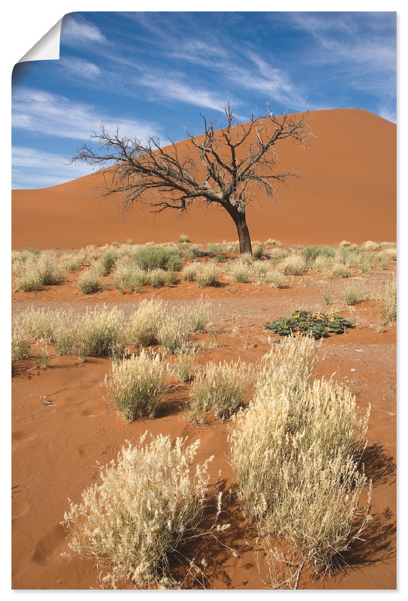 Artland Wandbild "Namib-Wüste 2", Afrika, (1 St.), als Leinwandbild, Poster günstig online kaufen