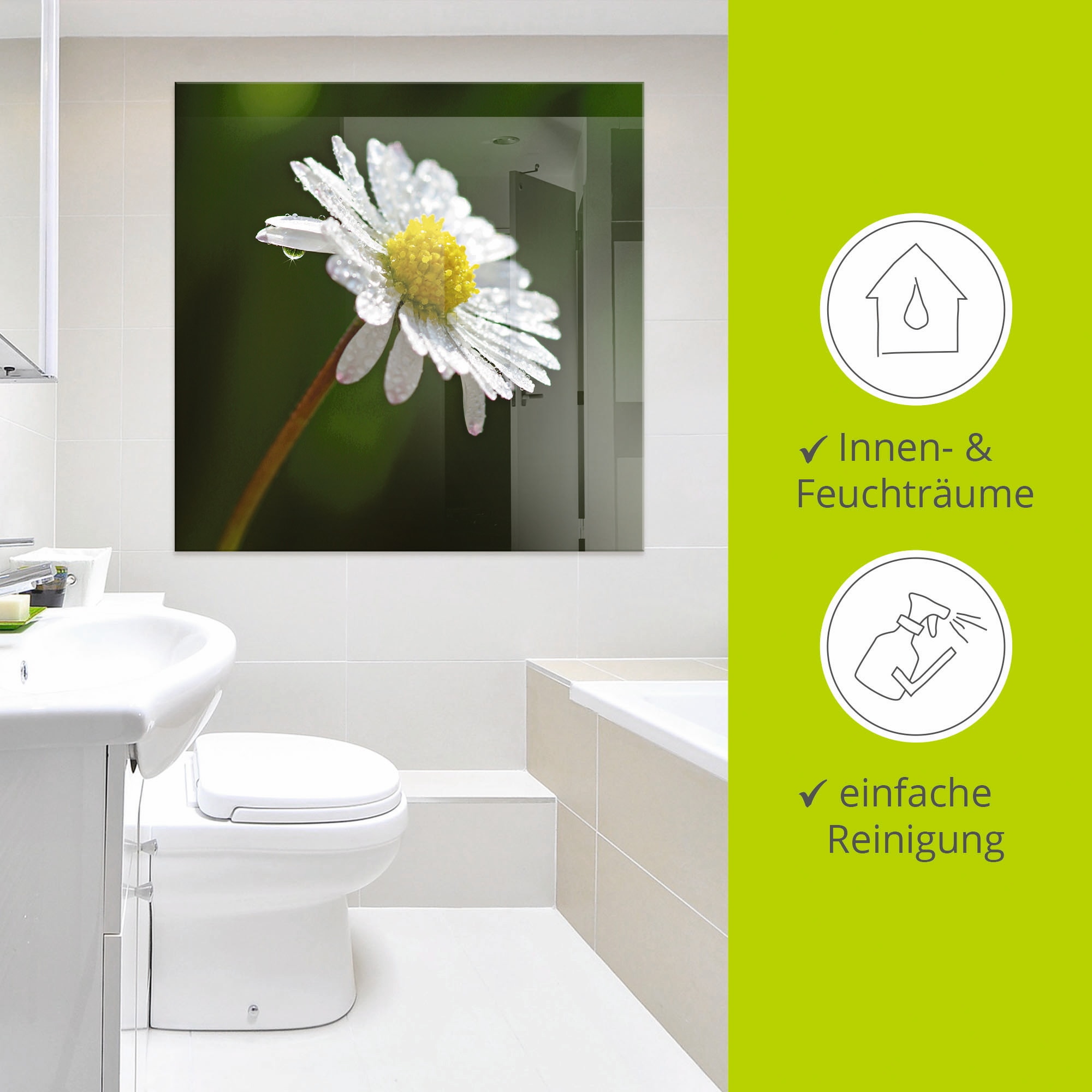 Artland Glasbild »Gänseblümchen« 1 Stk. tlg. in verschiedenen Größen